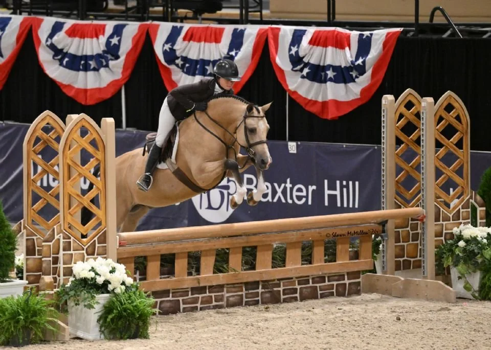 Smith and Orchard Zweed Sweep Over Fences for Grand