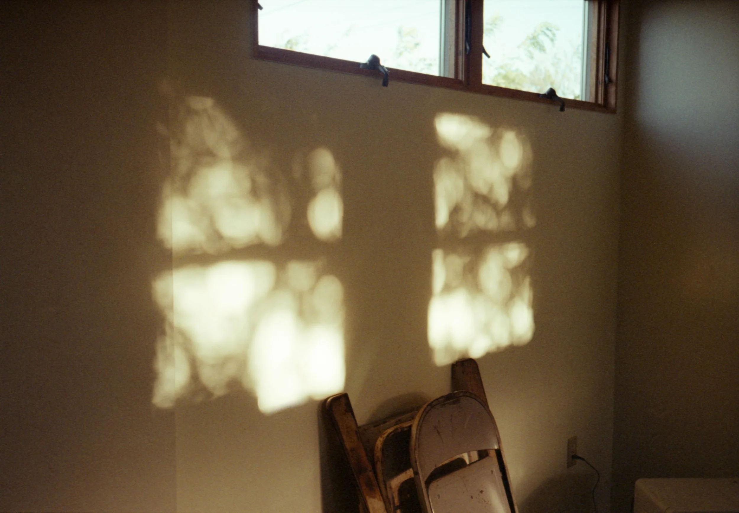 img20250730_23500679.jpg