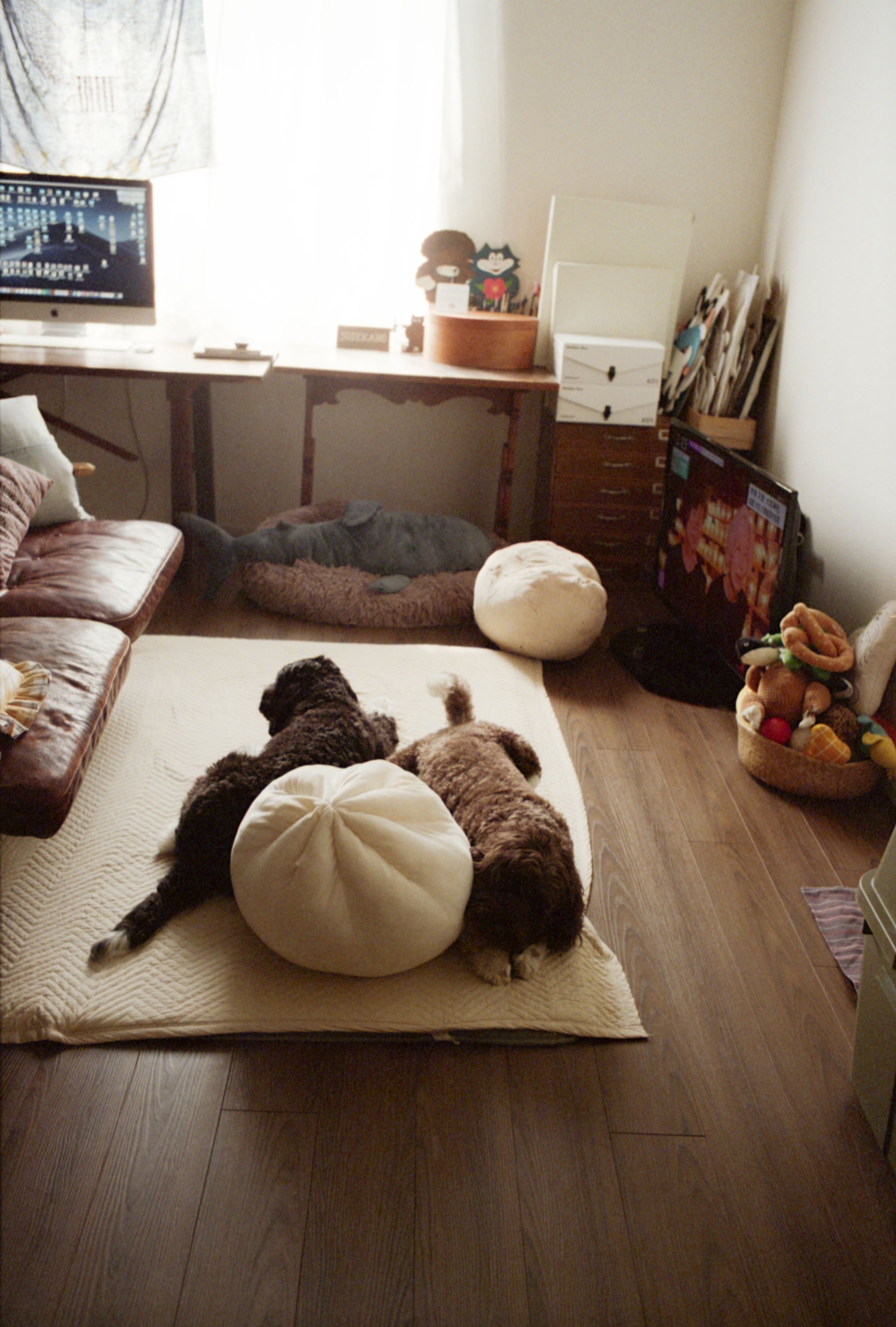img20250809_22425569.jpg