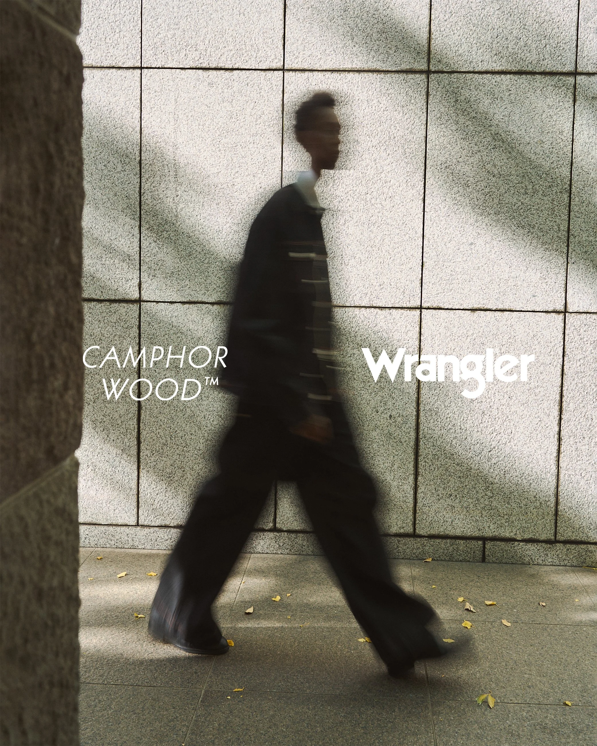Wrangler × camphor wood