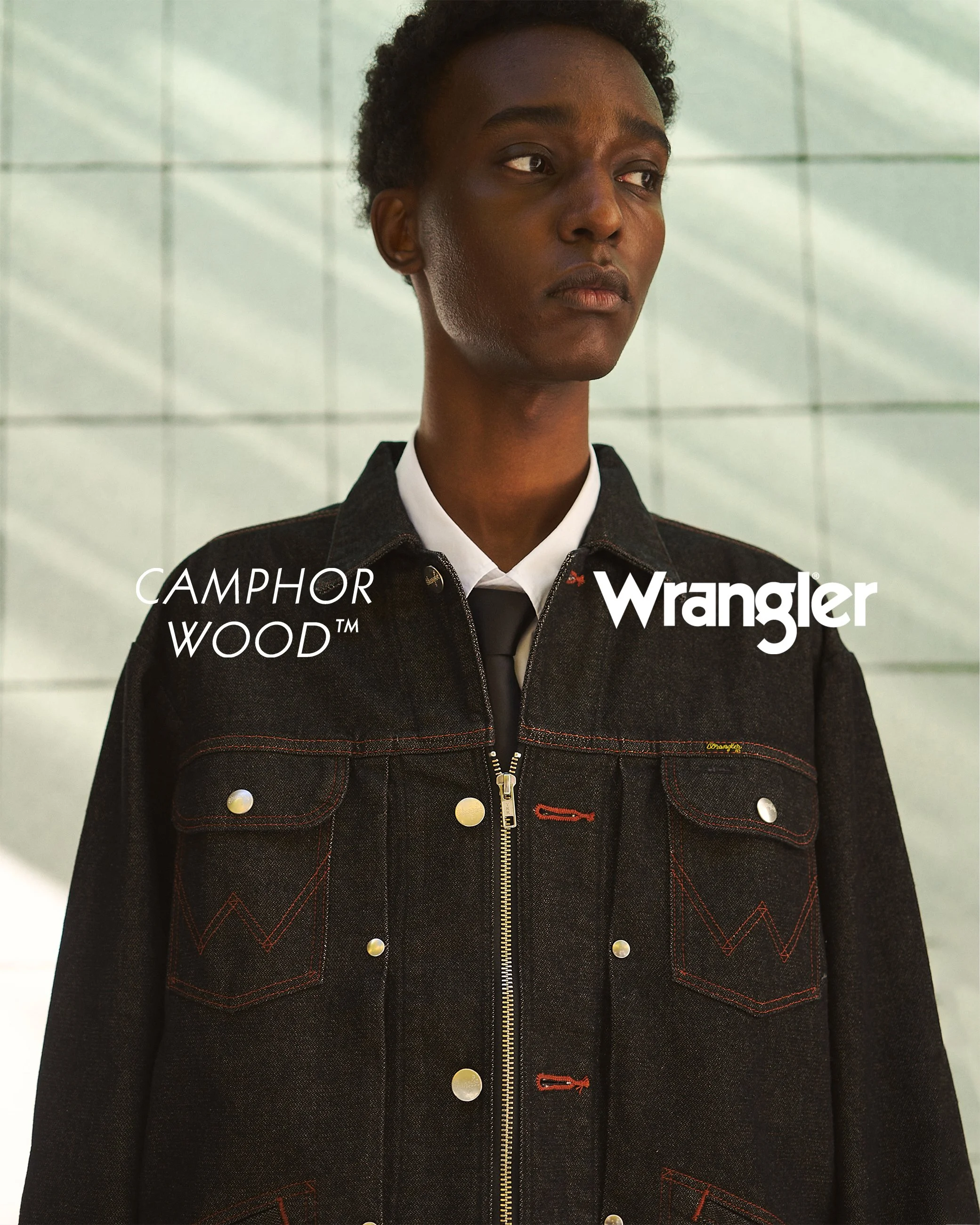 Wrangler × camphor wood
