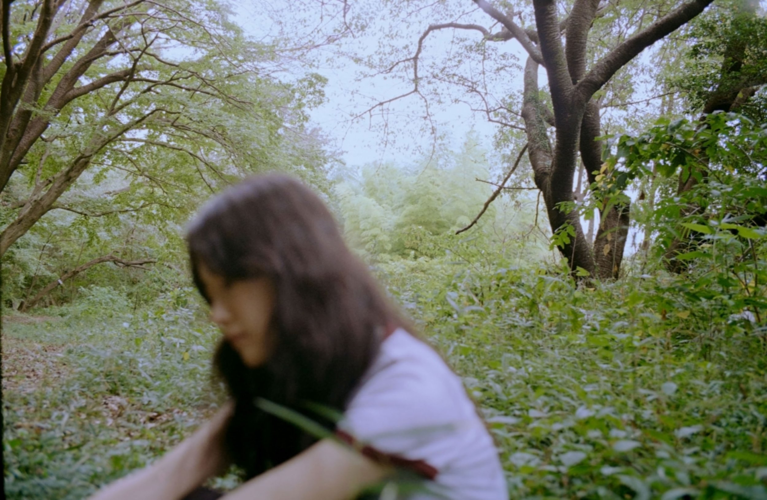 film0248.jpg
