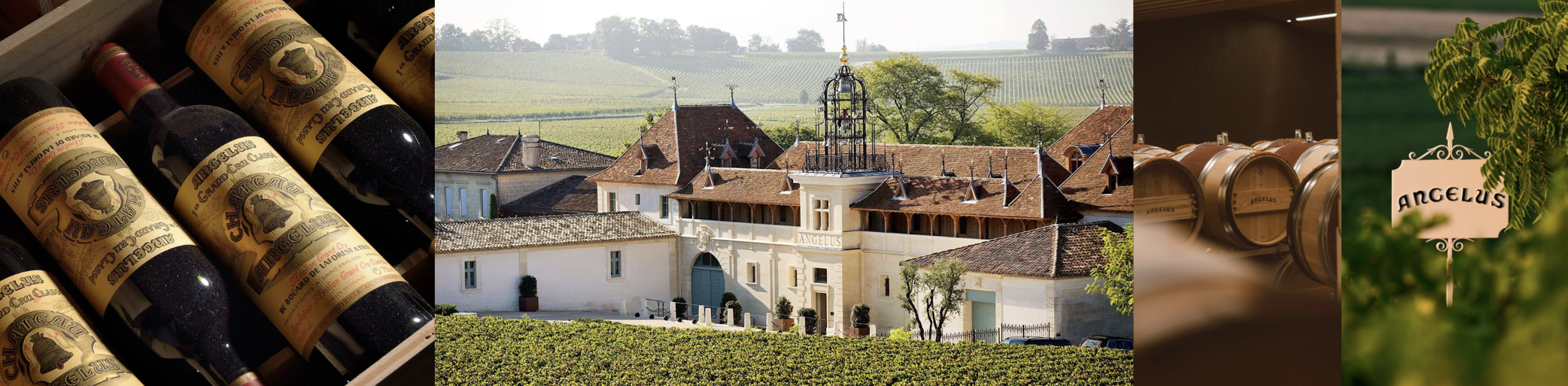 Château Angélus: The Angel of St-Emilion