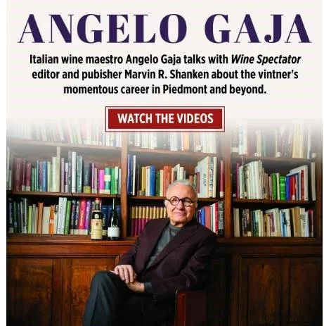 gaja - Cover Photo 2.jpg