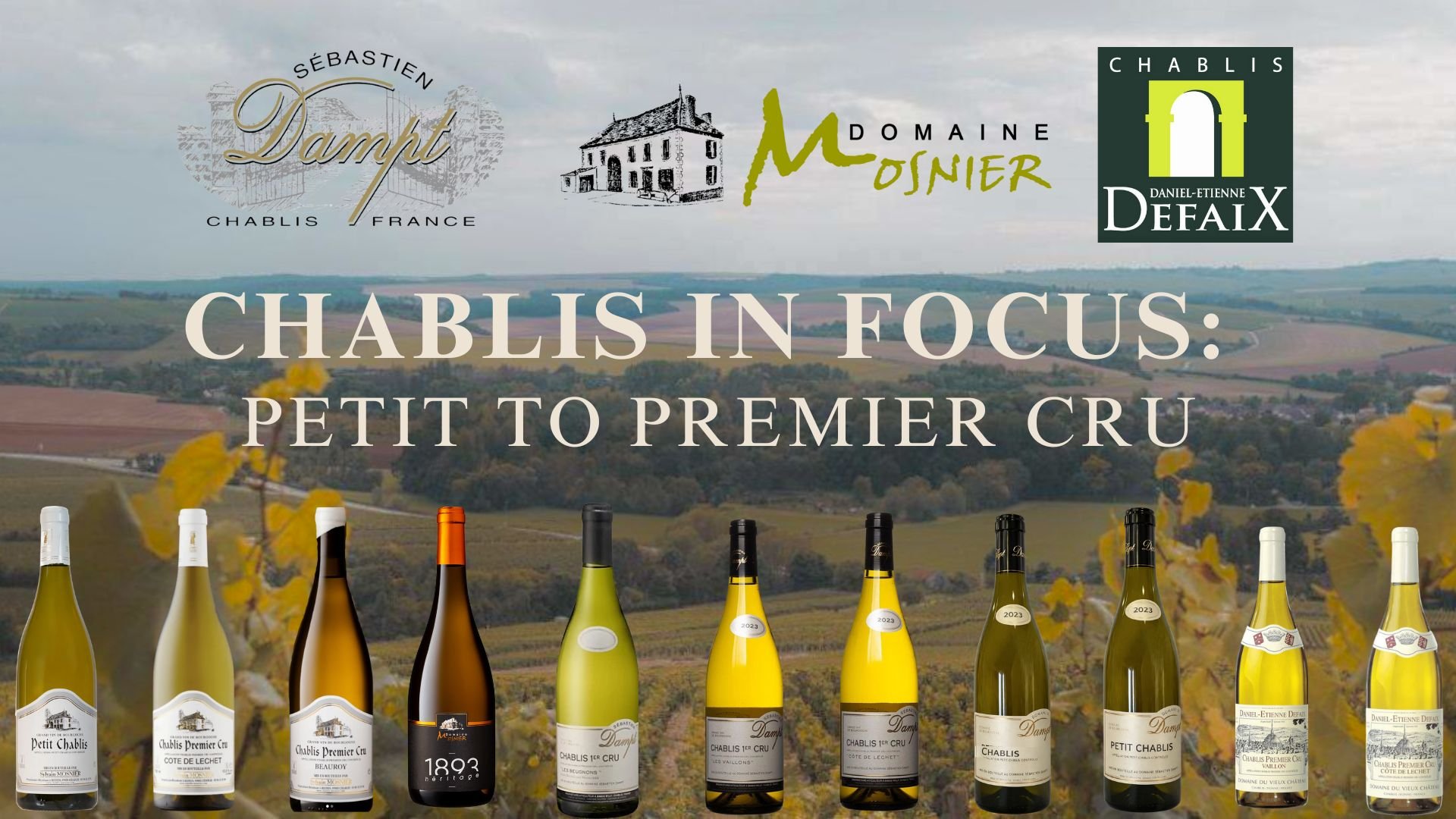 Chablis in Focus: Petit to Premier Cru