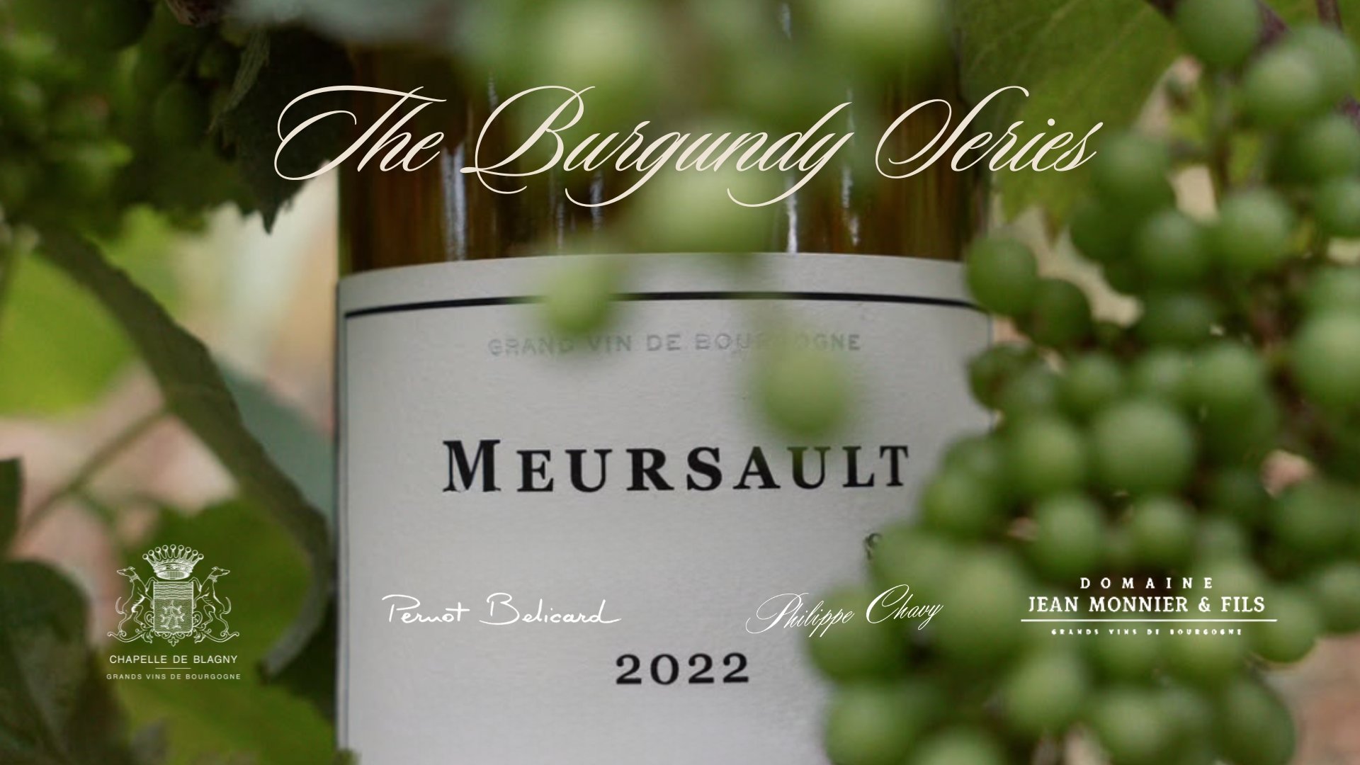 Burgundy Series #2: Meursault and the 2022 Vintage