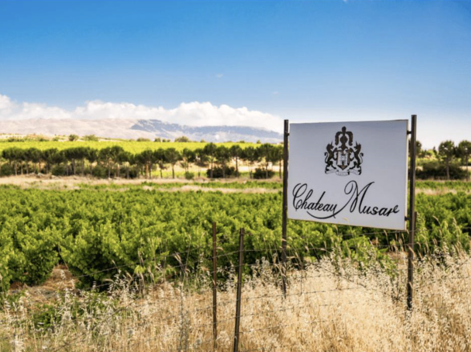 Chateau Musar, one of the most distinctive wine estates in the world.
