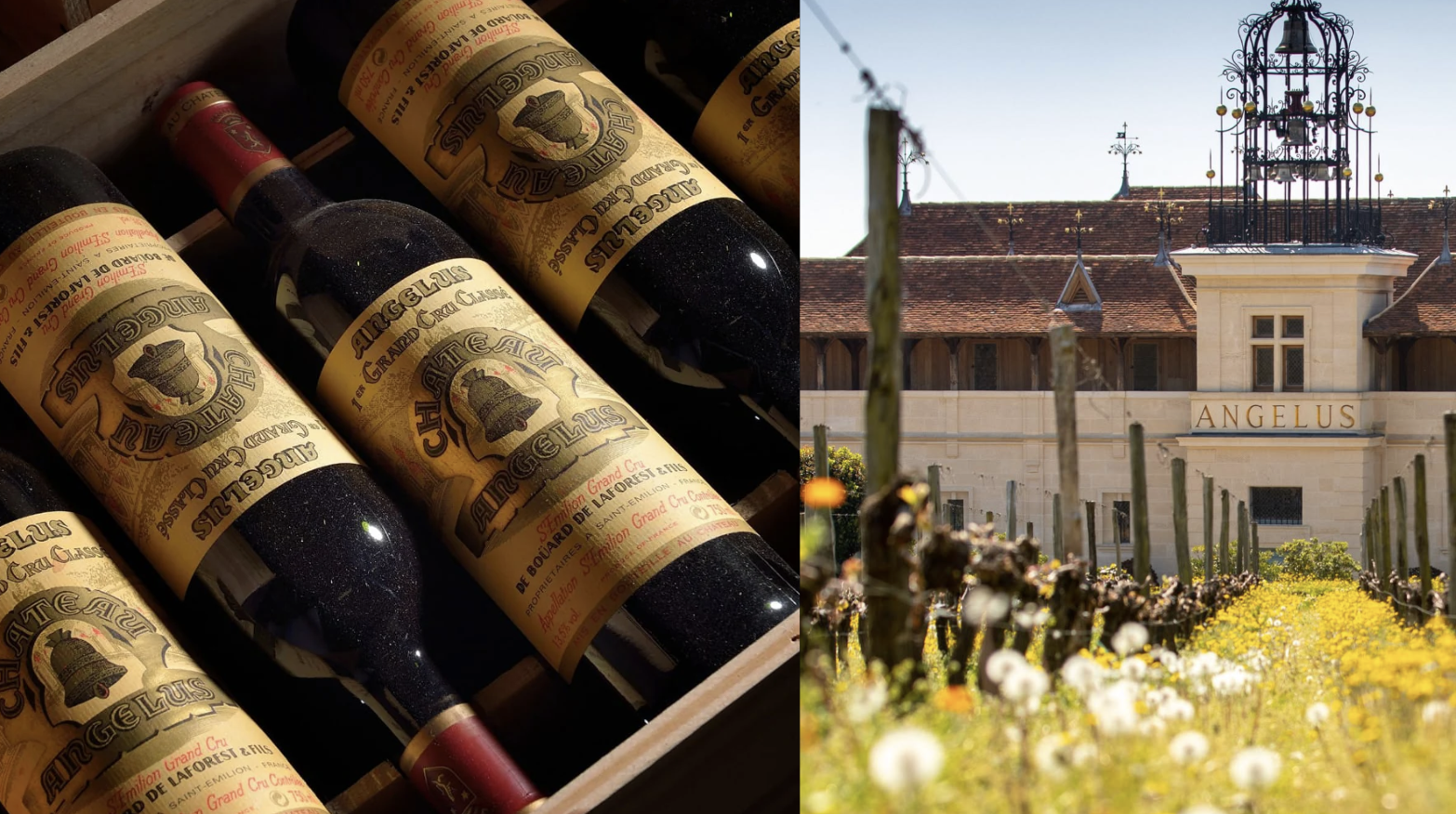 Chateau Angelus: The Angel of St-Emilion