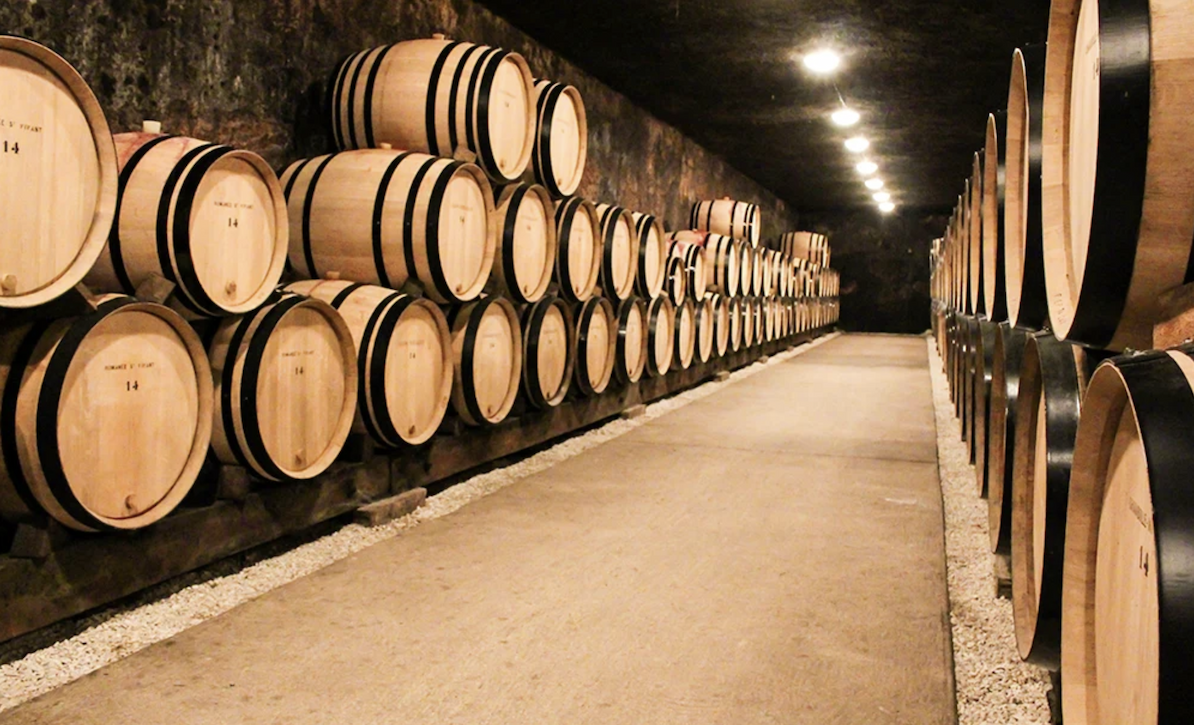 Burgundy & Barolo Omage 1.png