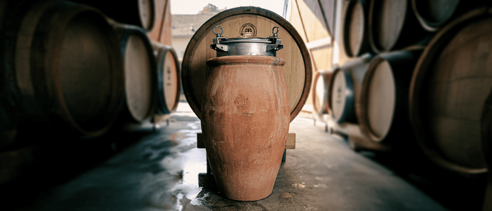 Amphora, the vessel behind the Amphora cuvée