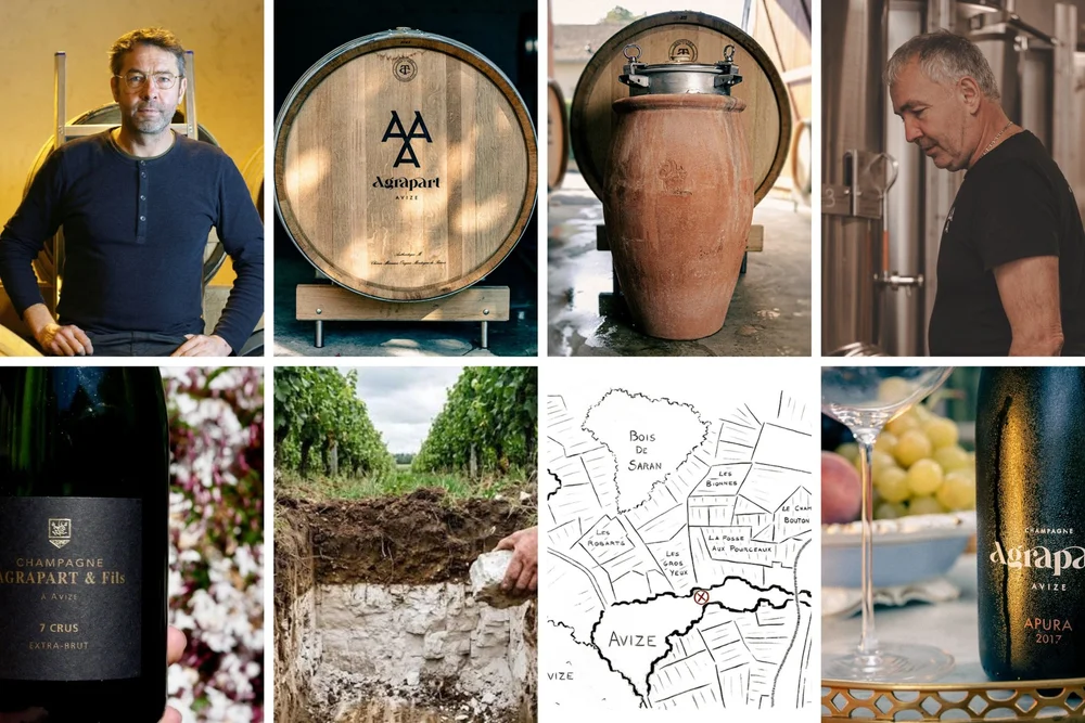 Agrapart & Agrapart: One Champagne Legacy, Two Paths
