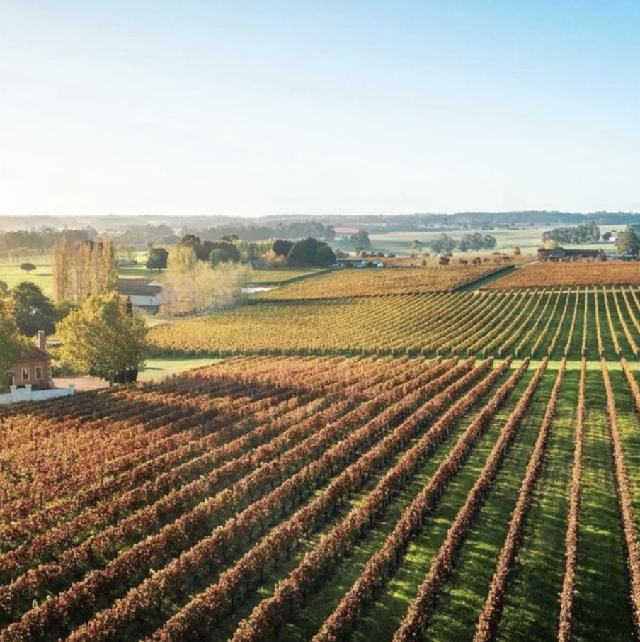 Pemberton Wine Region Perth Australia Picardy