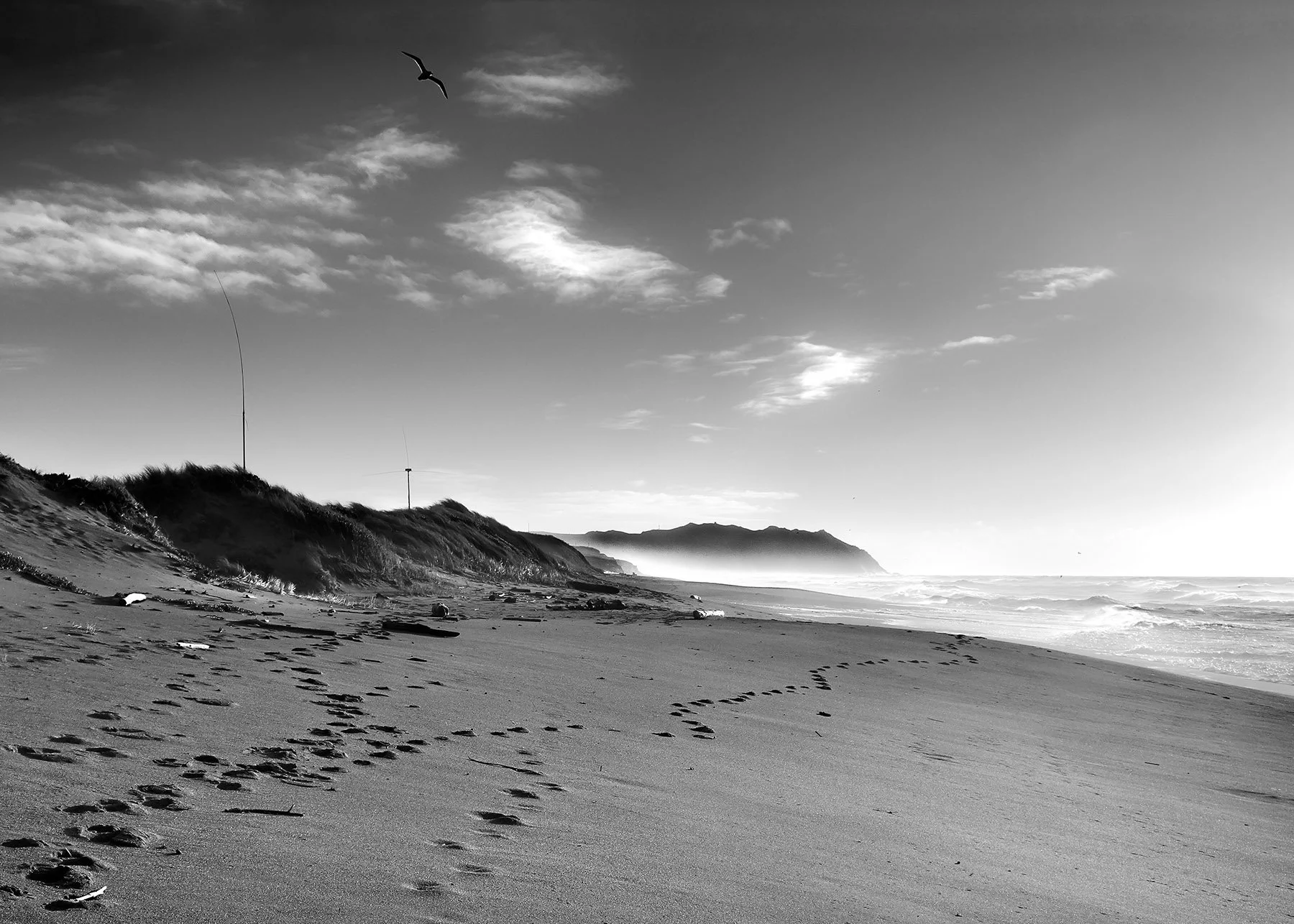 CALIFORNIA_01.jpg