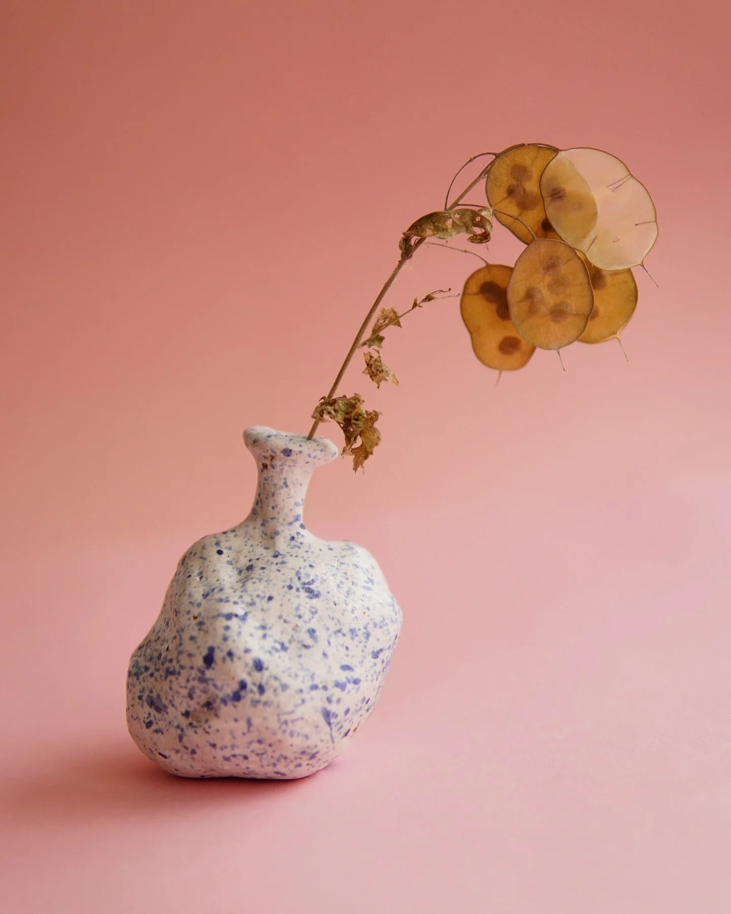 I love the shape of this piece and I love the speckled look. I forgot what this plant is called but the transparency and light feel are such a beautiful juxtaposition to the little vase.

#HandmadeCeramics #ClayArt #PotteryLover #CeramicStudio #Small