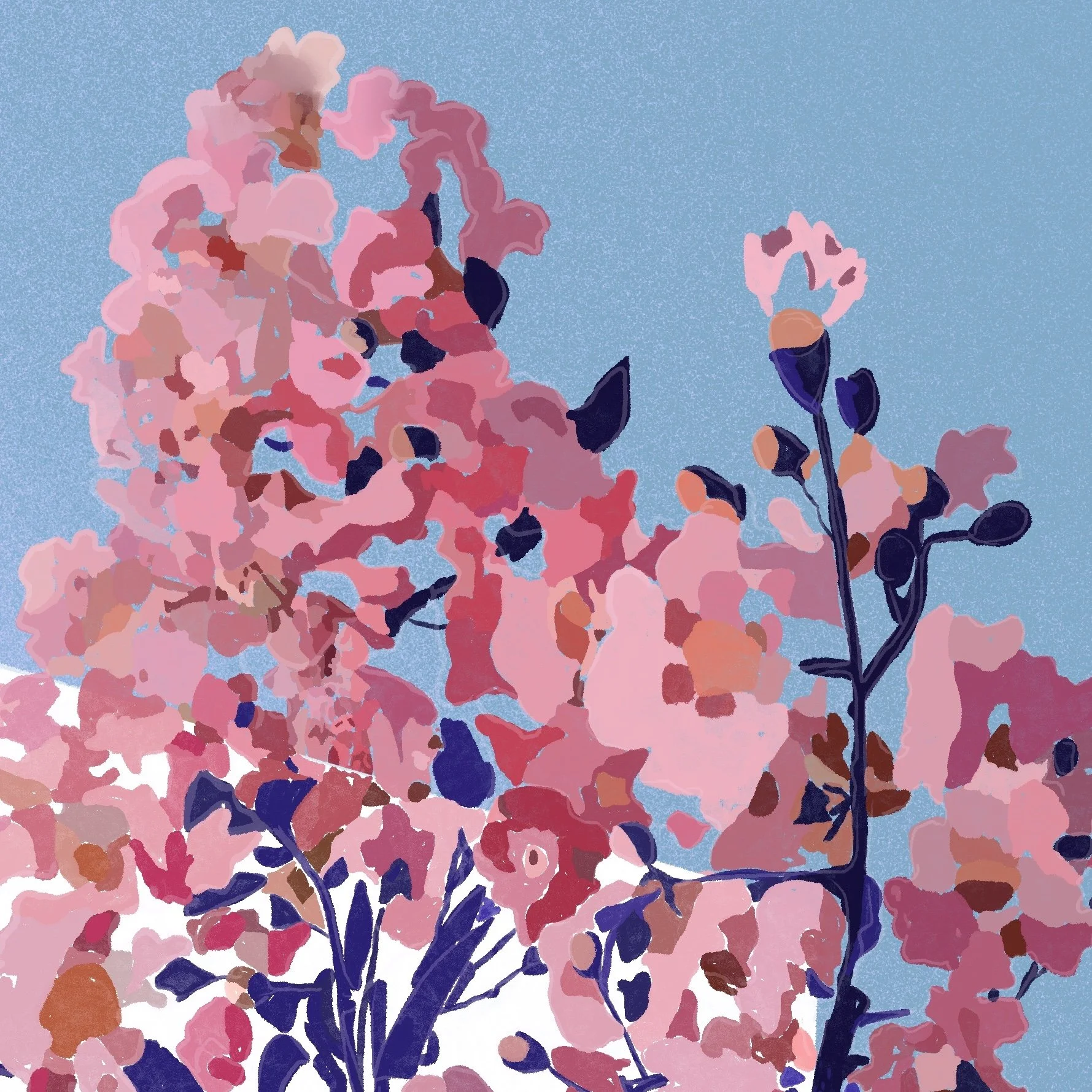 Untitled_Artwork 2 copy 2.jpg