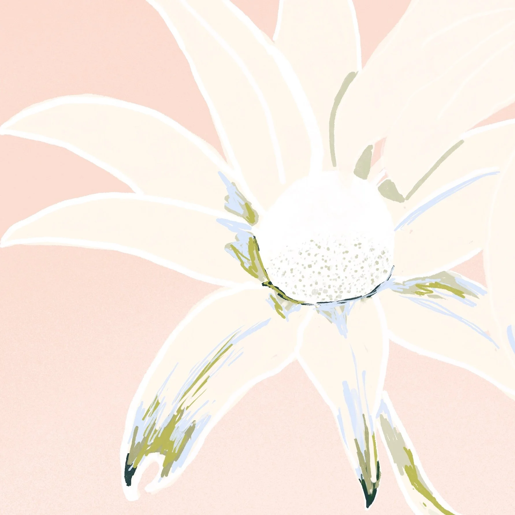 Untitled_Artwork 4 copy 2.jpg