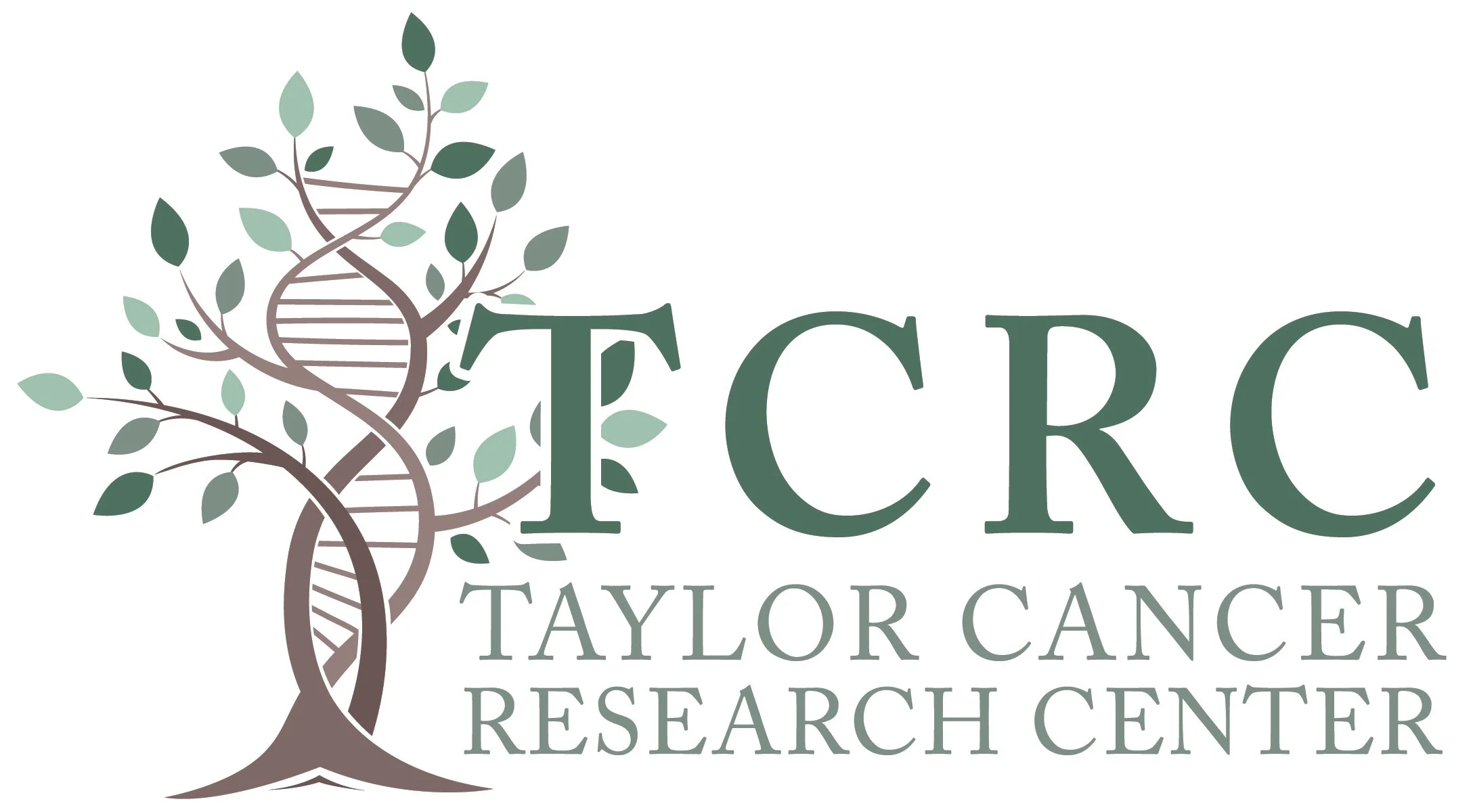 Taylor Automotive Family’s $1 Million Gift Helps Launch Taylor Cancer Research Center | The Blade