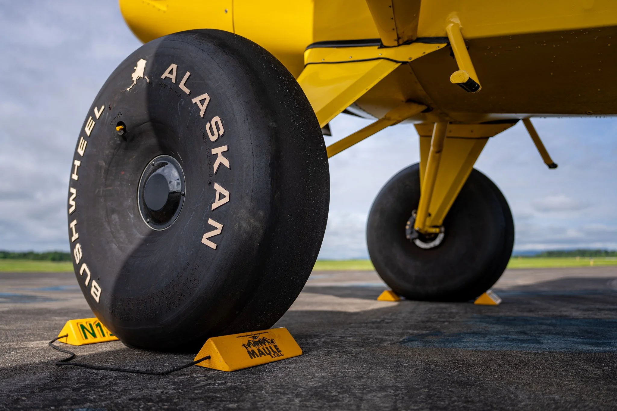 Maule N19WX-12.jpg