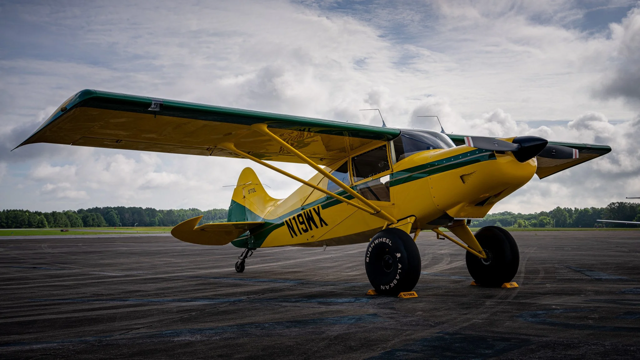 Maule N19WX-3.jpg