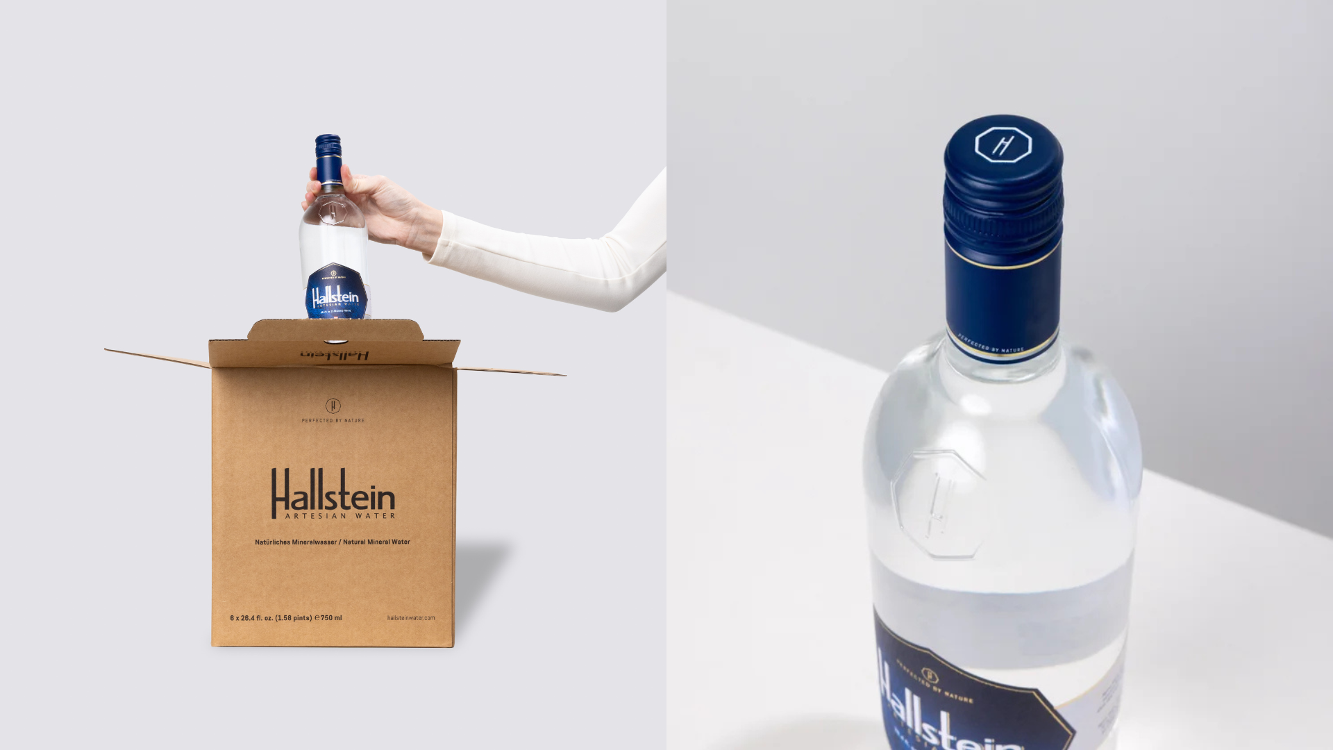 BILLIONMONSTERS NEWSLETTERBLOG (12).png