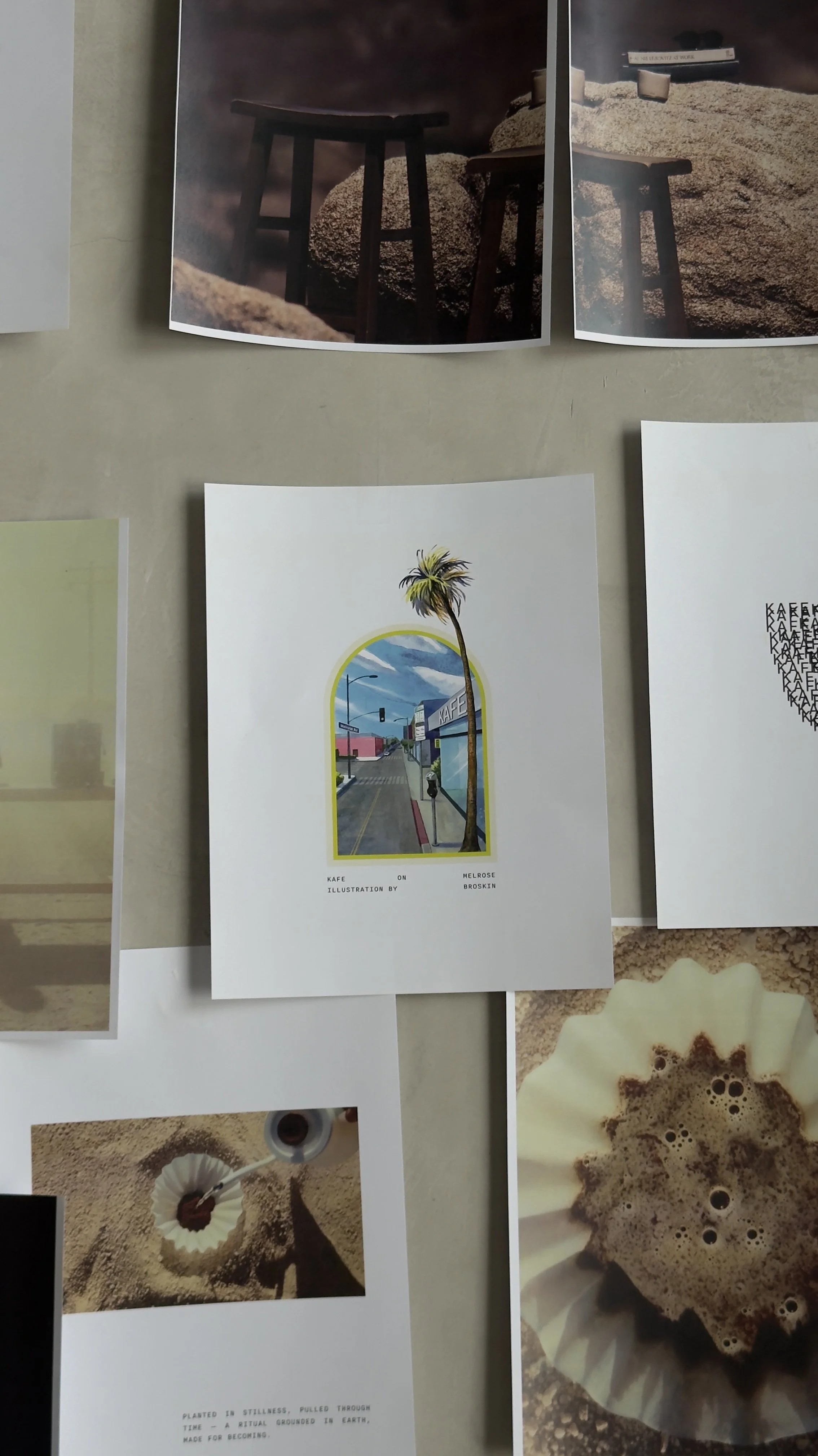 Photo Aug 30 2025, 11 22 06 AM.jpg