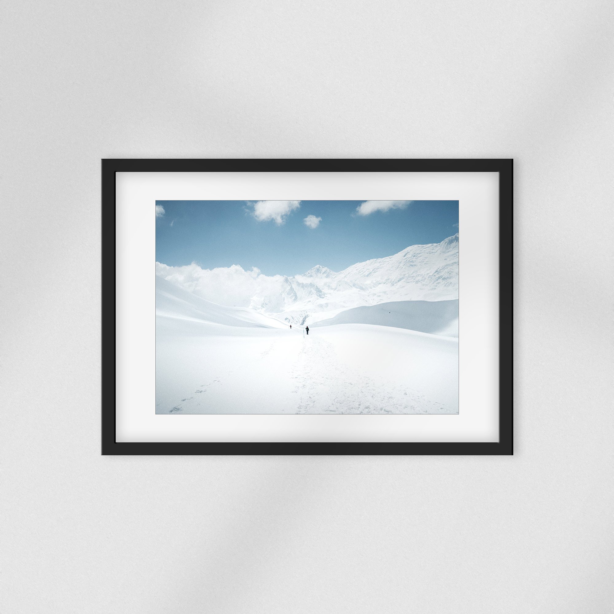 https://i.etsystatic.com/48792277/r/il/d500fd/5666623968/il_fullxfull.5666623968_jqsm.jpg
