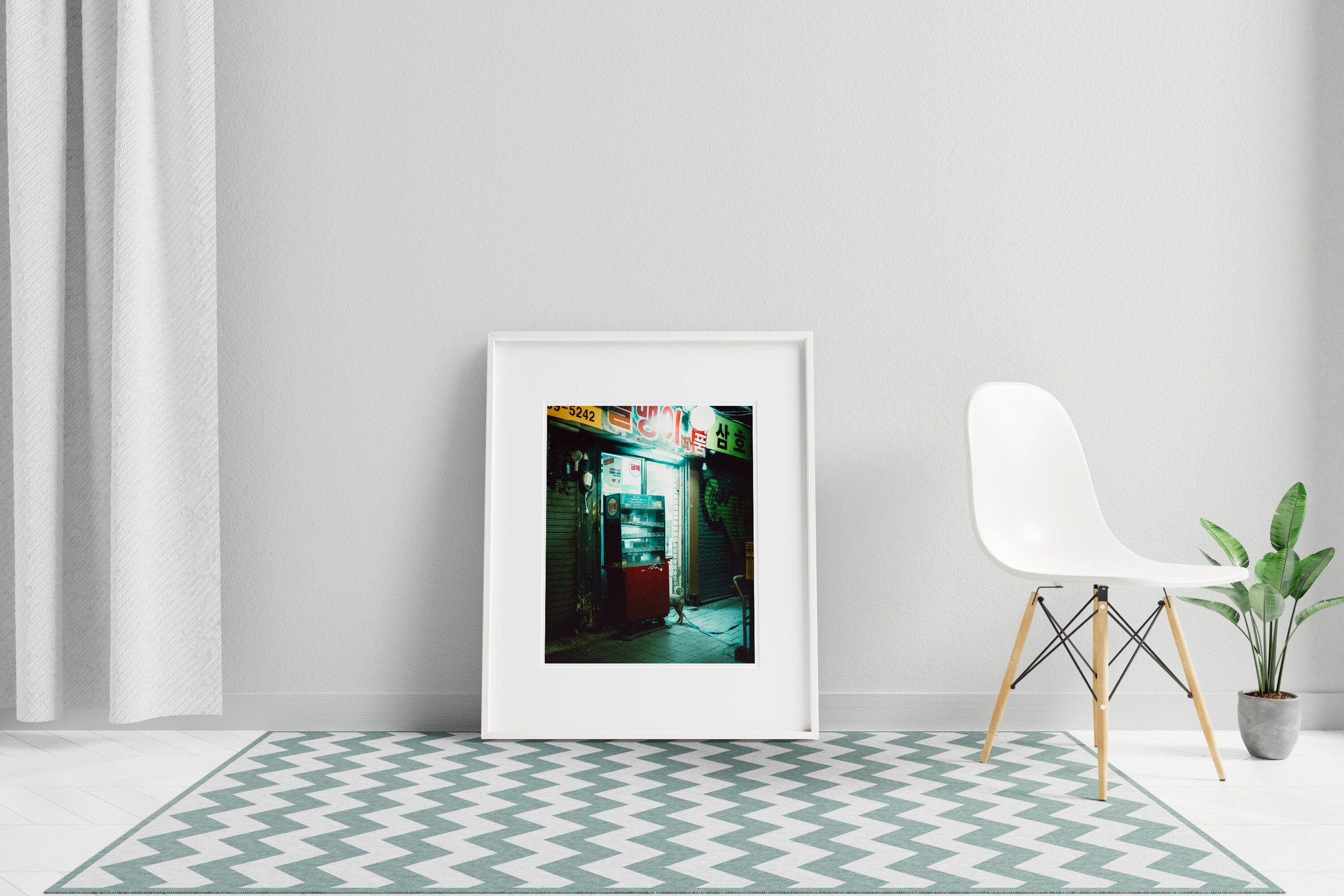 https://i.etsystatic.com/48792277/r/il/c7ae24/5663507016/il_fullxfull.5663507016_ont7.jpg