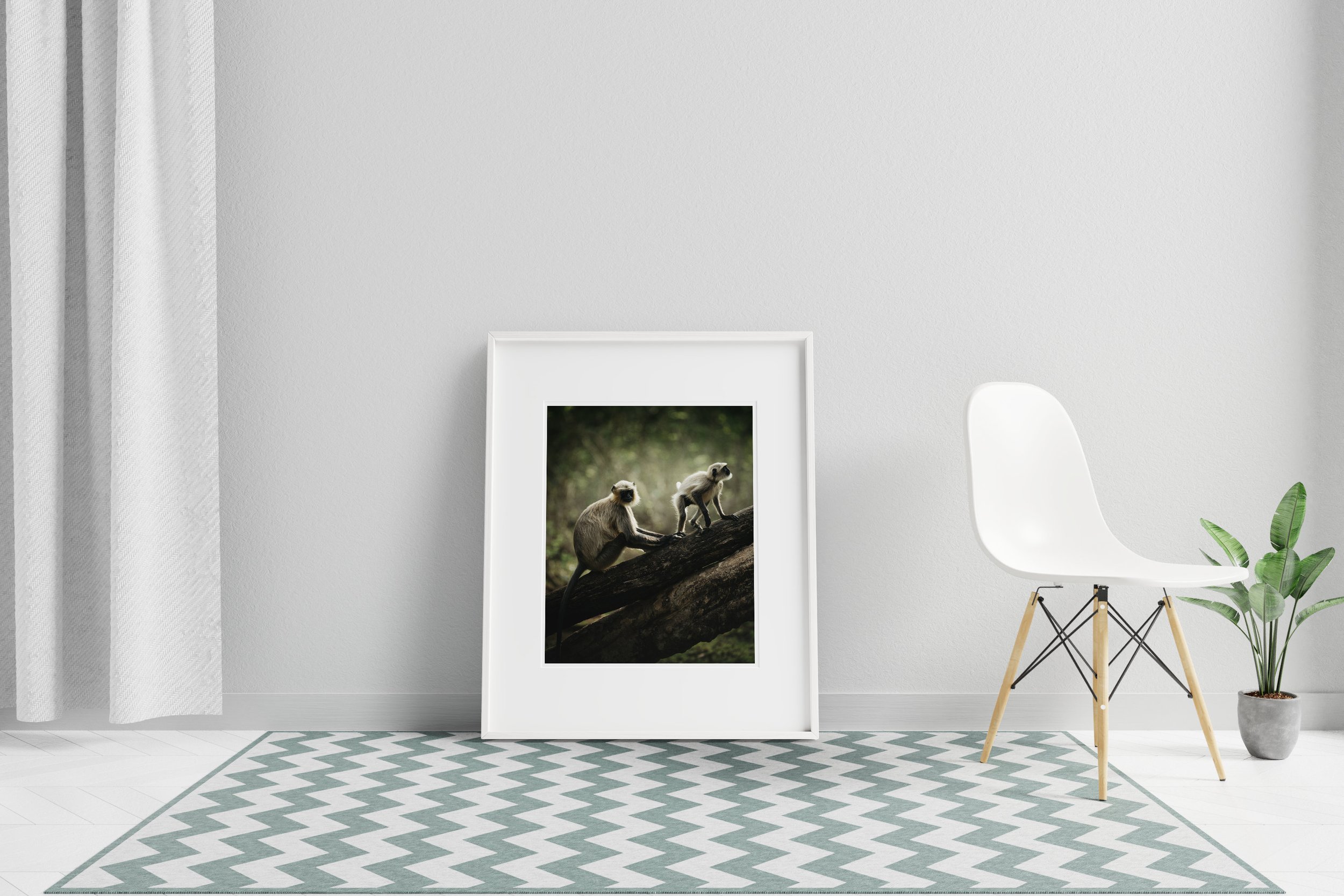 https://i.etsystatic.com/48792277/r/il/11e3cc/5708488231/il_fullxfull.5708488231_es0d.jpg