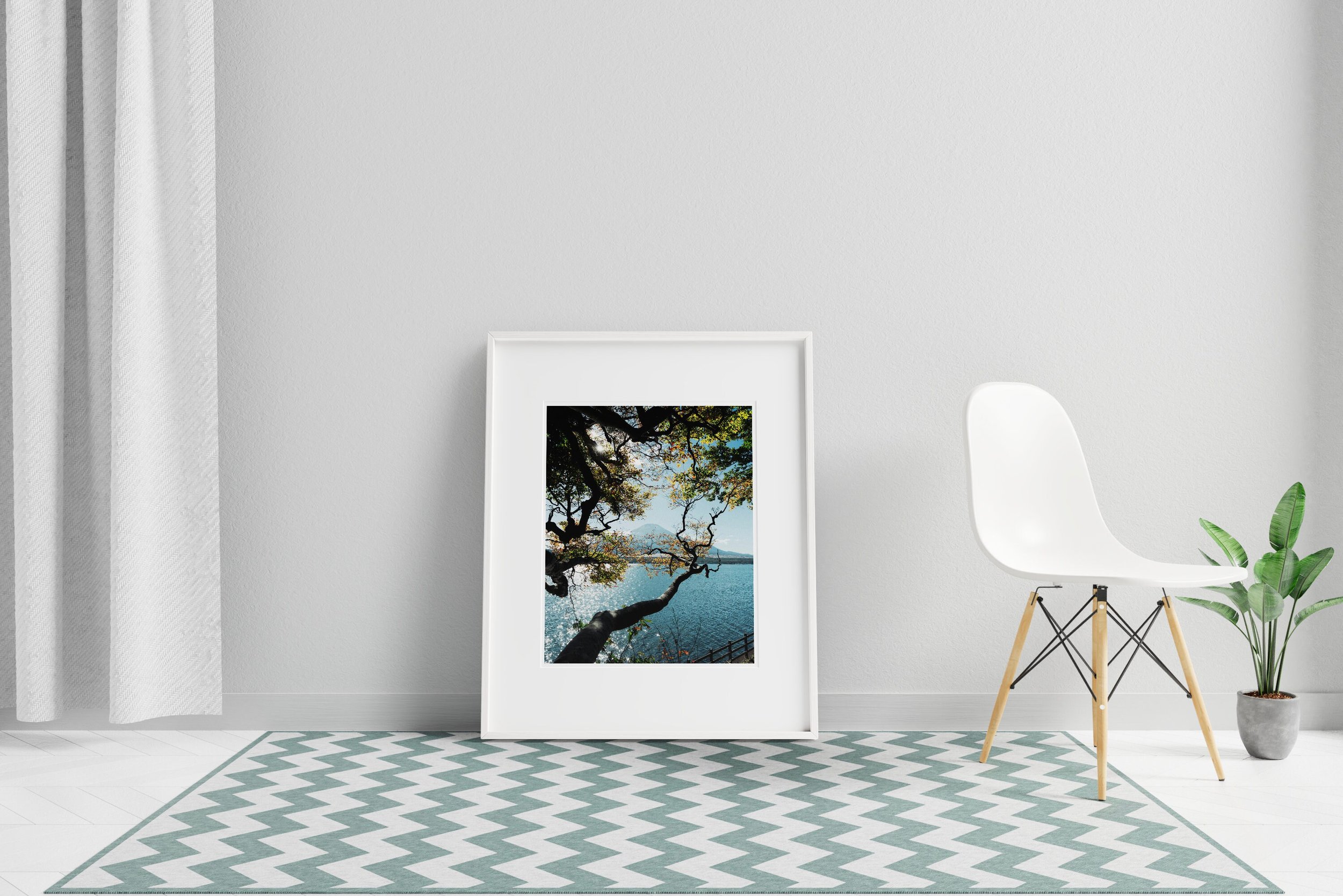 https://i.etsystatic.com/48792277/r/il/b2ffc3/5657931032/il_fullxfull.5657931032_kq6q.jpg