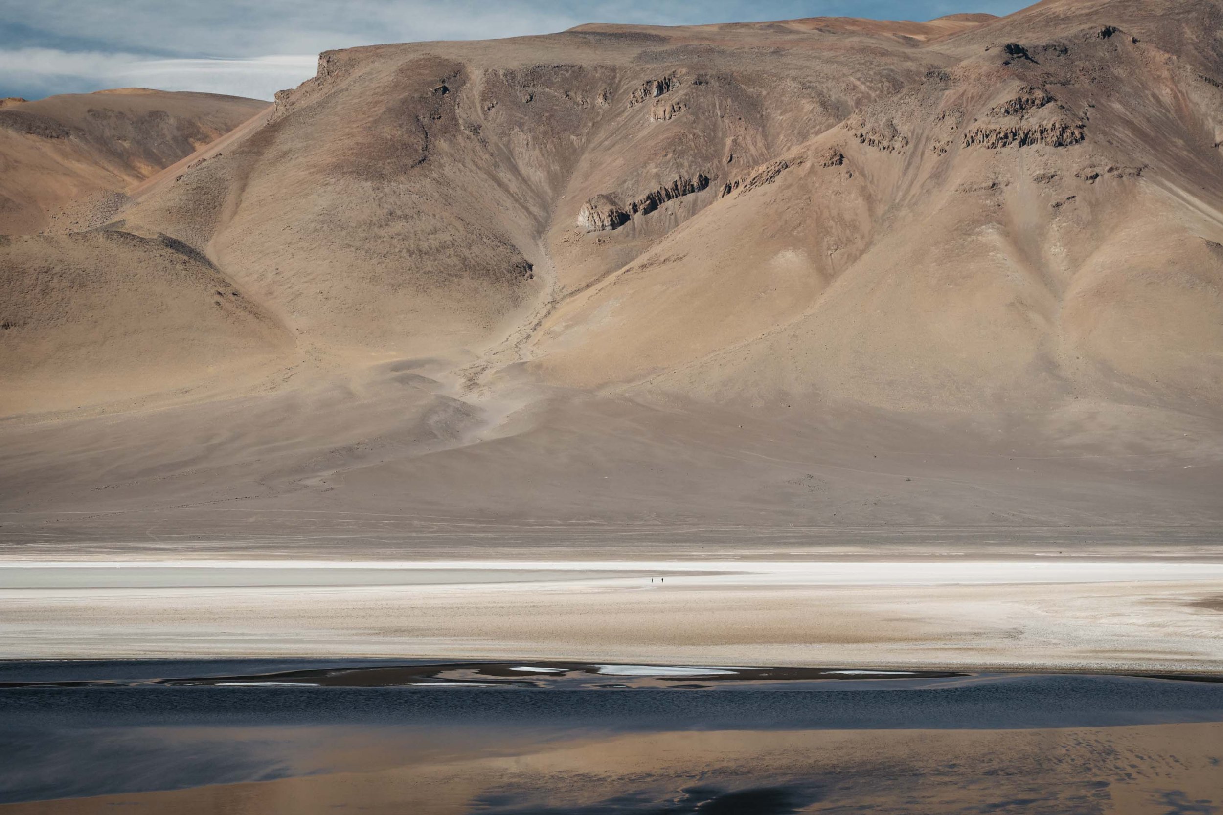 Vibrant landscape of the colorful high-altitude plains (4000m) of the Chilean Altiplano, with vicuñas grazing.