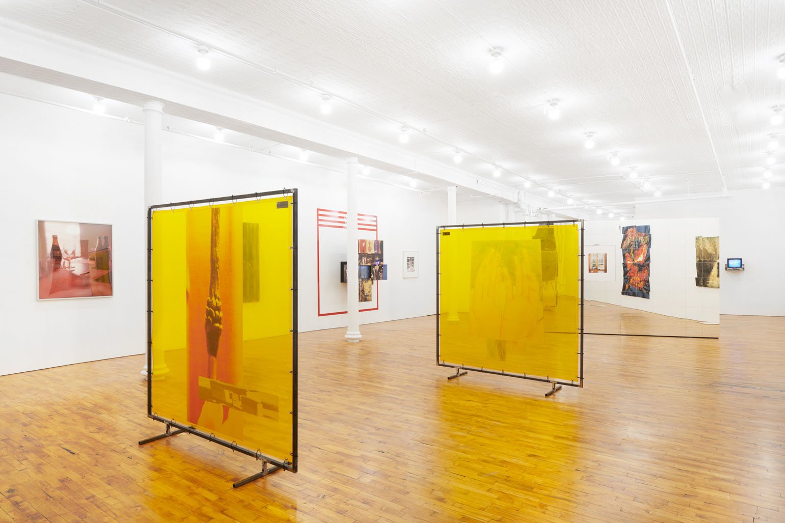 downsross-the-american-friend-exhibition-view-10.jpg