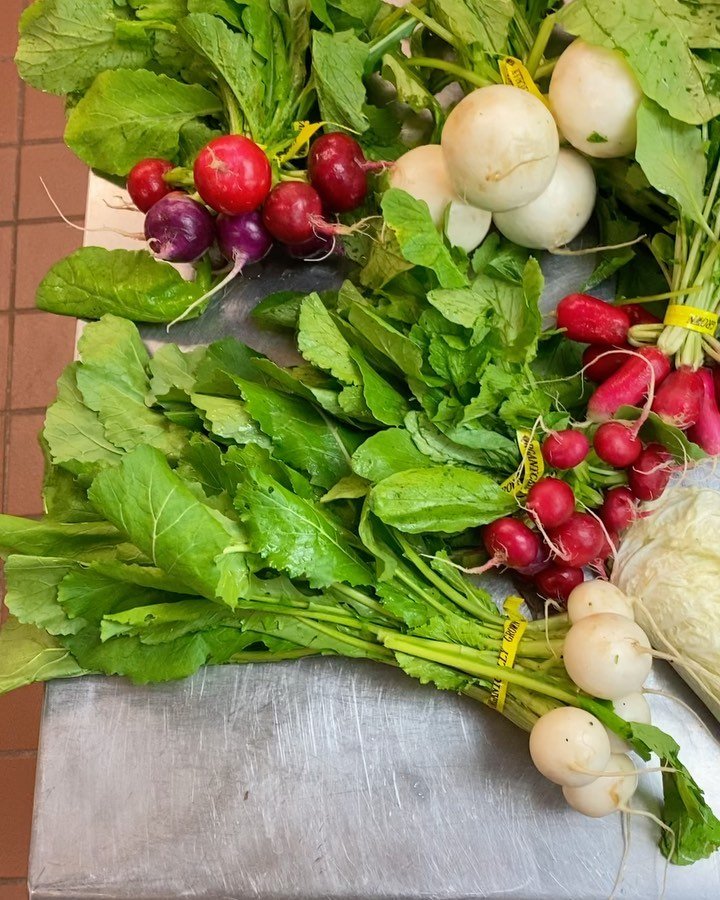 Starting prep for this weekend! Reservations still available for this Saturday! @unsqgreenmarket @norwichmeadowsfarm @camporossofarm @migliorellifarm