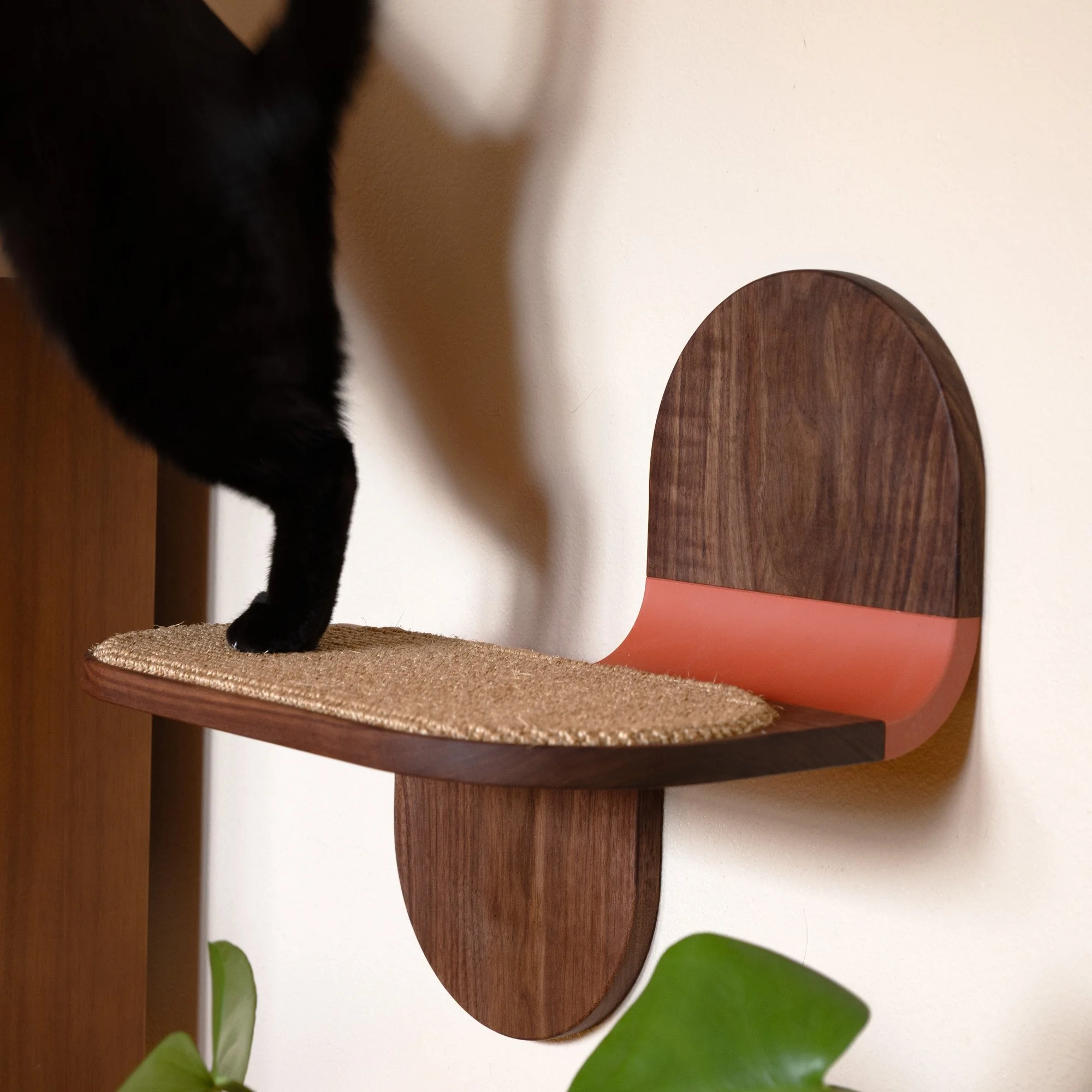 Cat Lounger and Scratcher