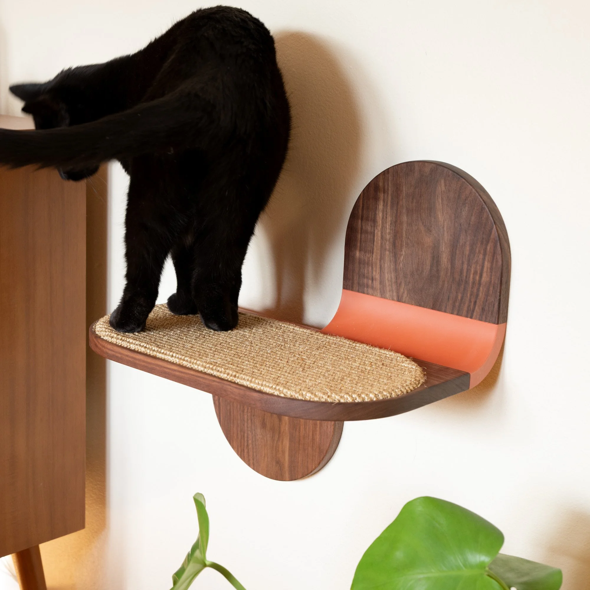 Cat Lounger Product Photo - 12.jpeg