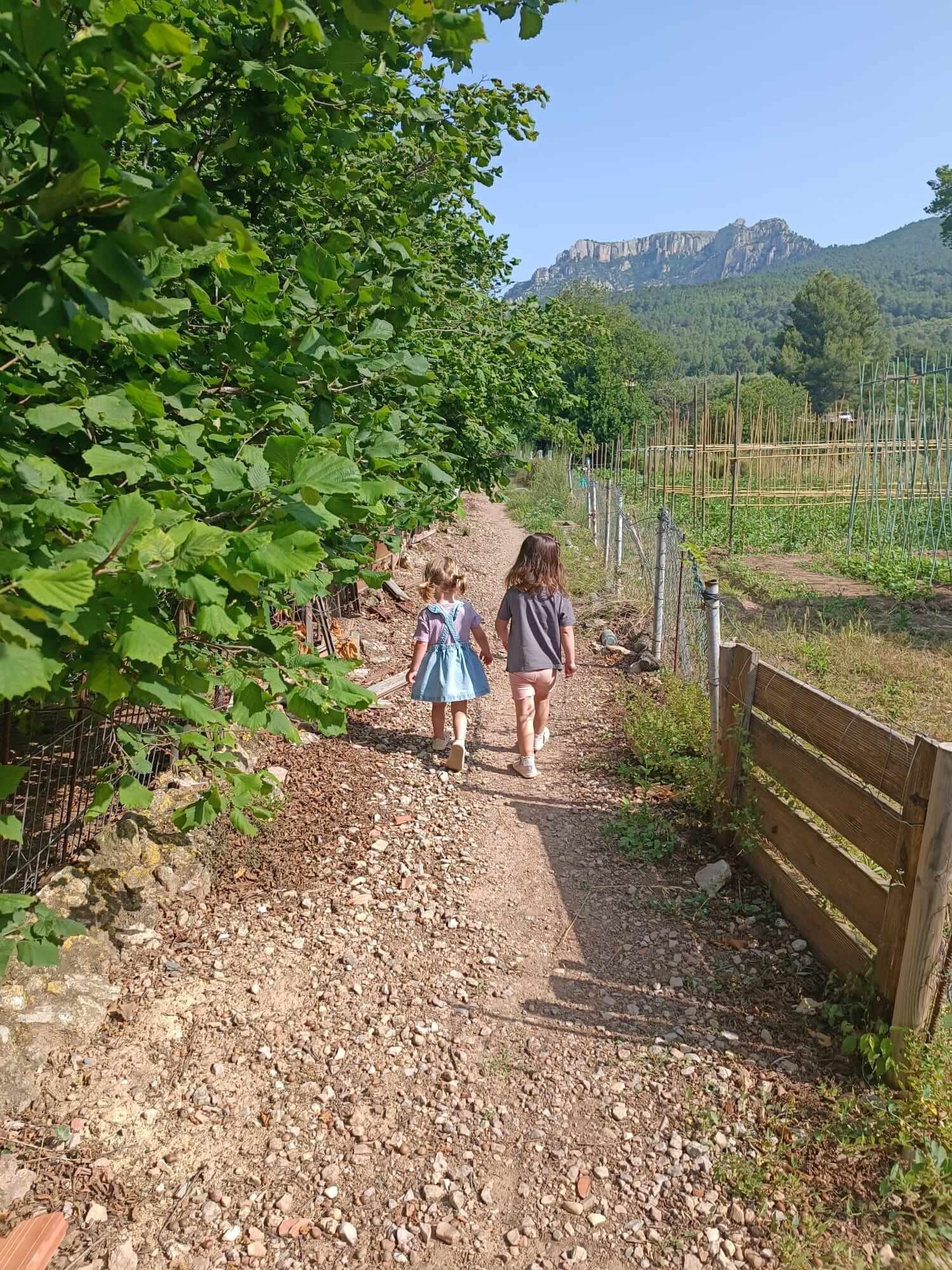 Passejada per Pratdip - 12/06/2025