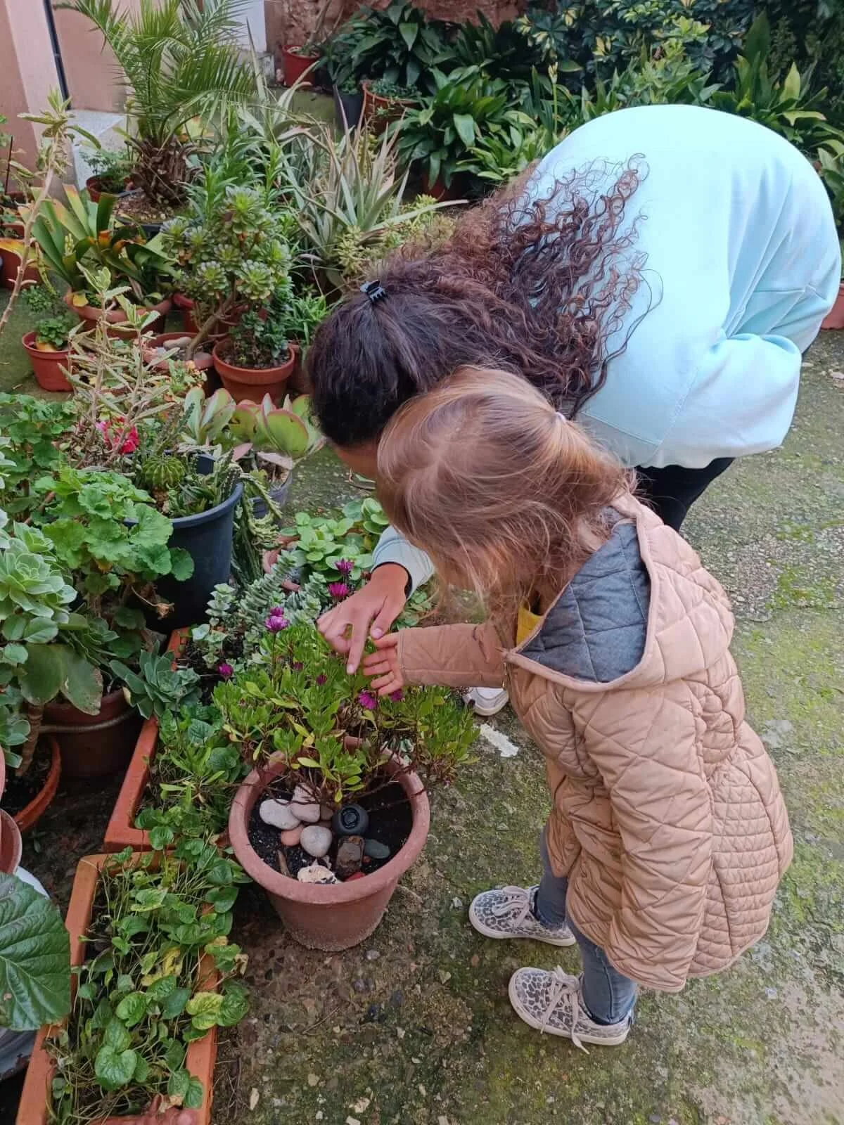 🌿 Descobrint l’entorn: una passejada per Pratdip