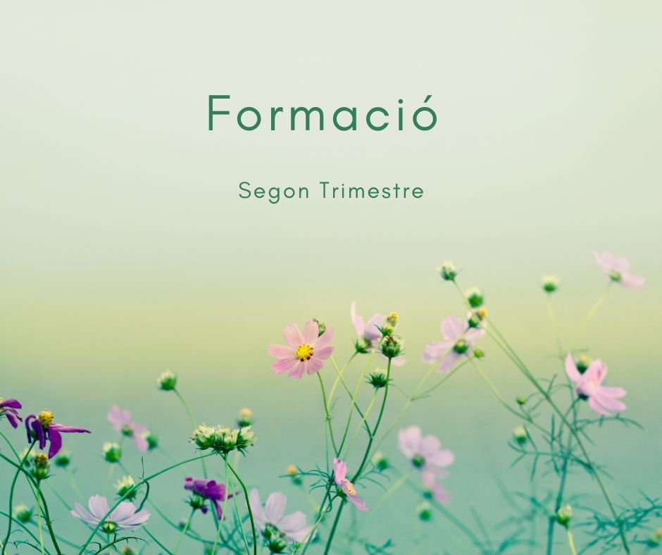 Formacions del segon trimestre