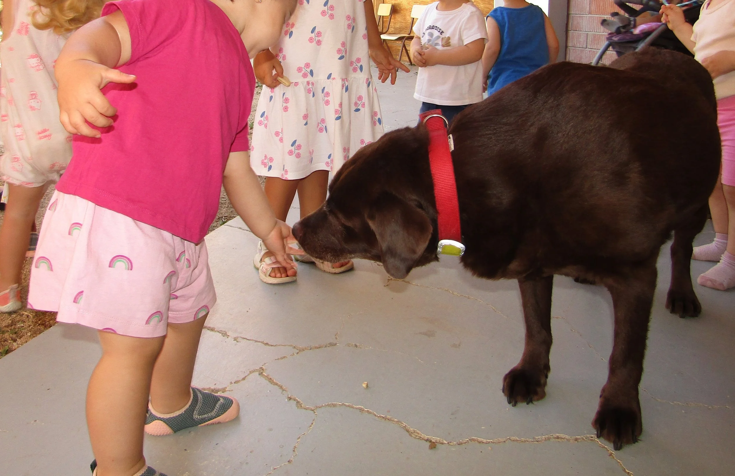 🐕 Una visita molt especial: coneixem el Dodo