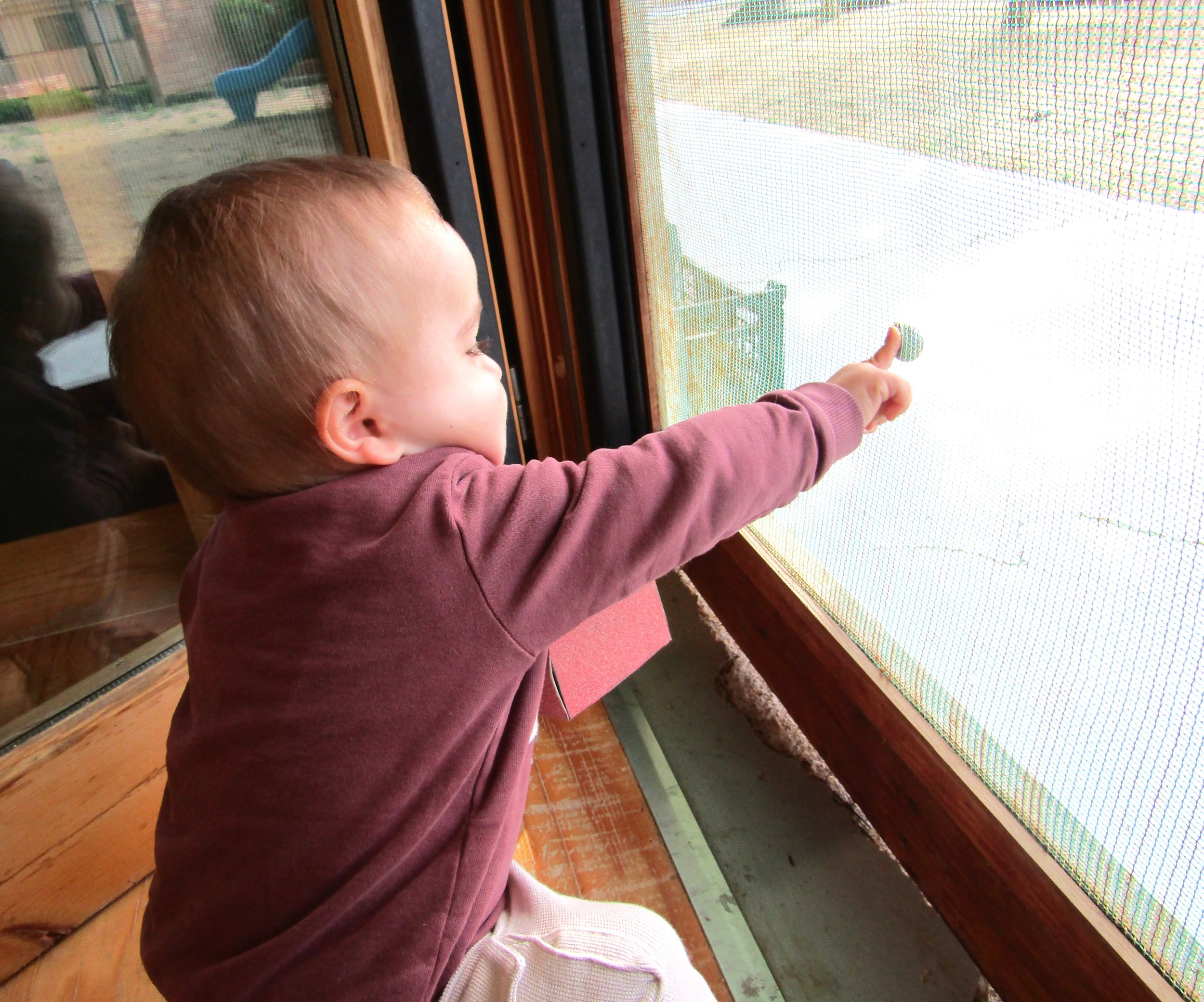Per què escollir una llar d’infants petita?