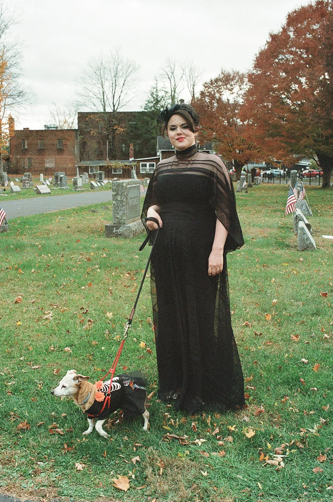 nikkifilm11.jpg