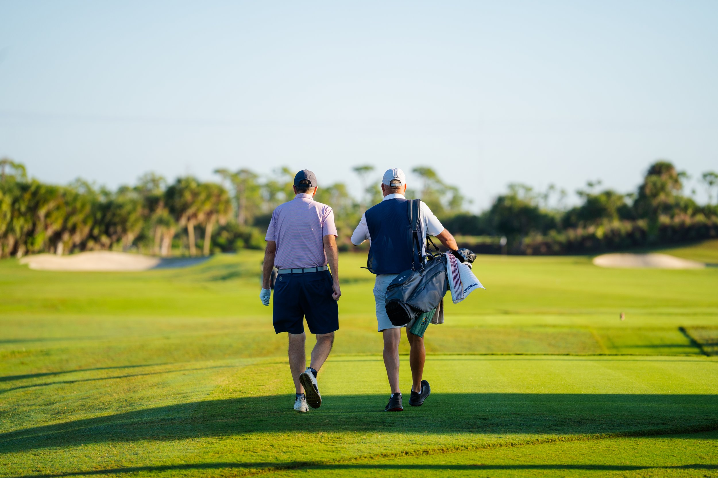 Caddies - 2.jpg