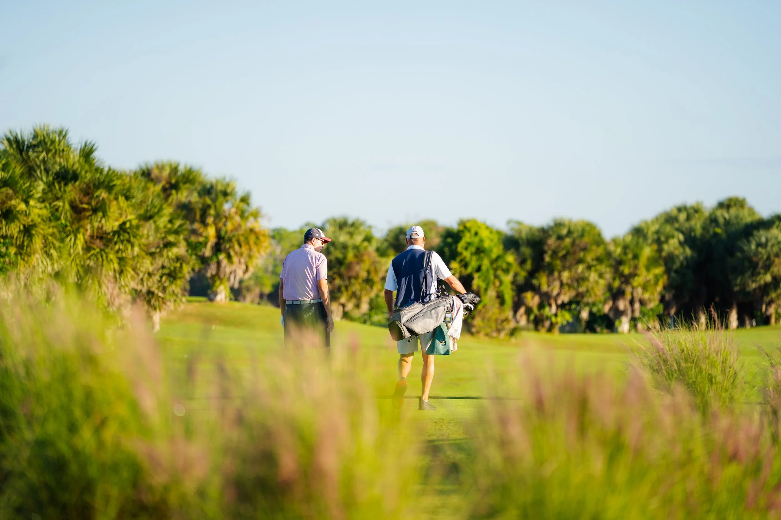 Caddies - 3.jpg
