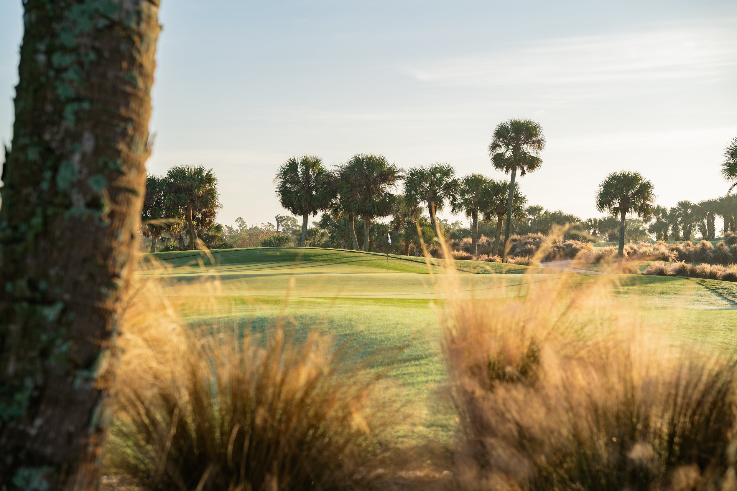 Coral Creek - 83.jpg