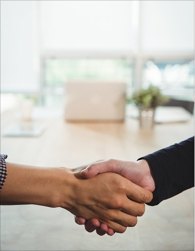 INDIVIDUAL COACHING OR GROUP WORKSHOP