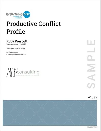 PRODUCTIVE CONFLICT