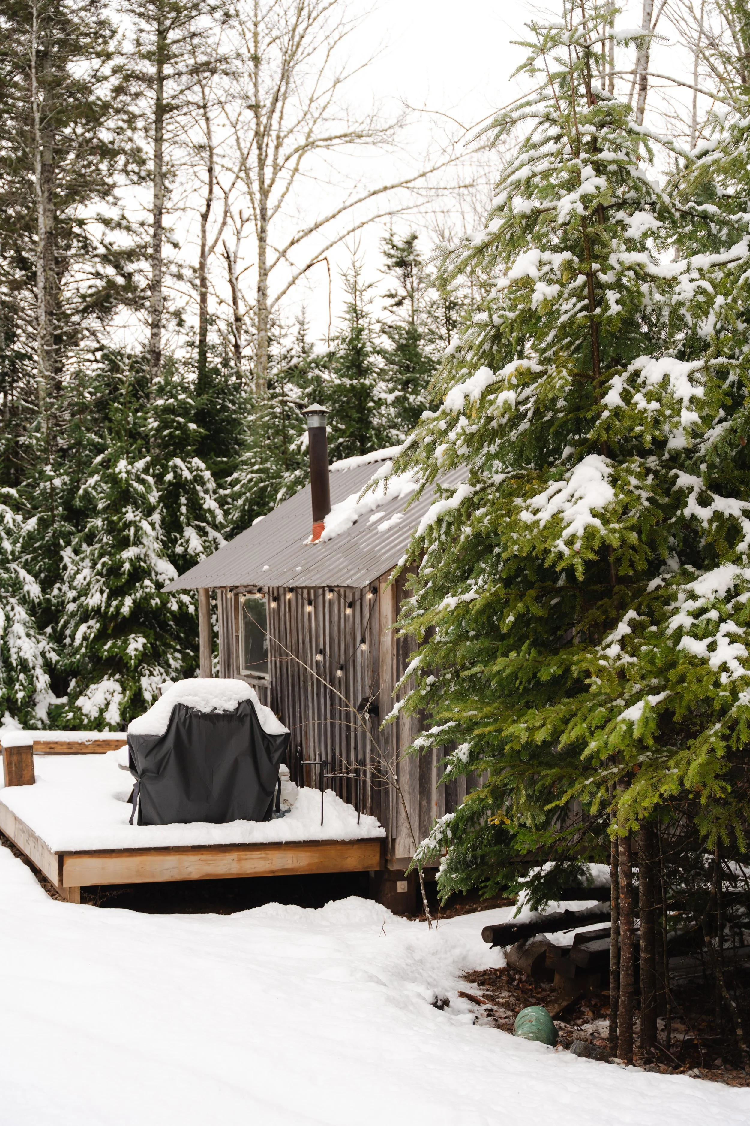A rustic wooden cabin with a metal roof and chimney, surrounded by snow-covered evergreen trees, with a snow-covered deck that has a covered grill and string lights.