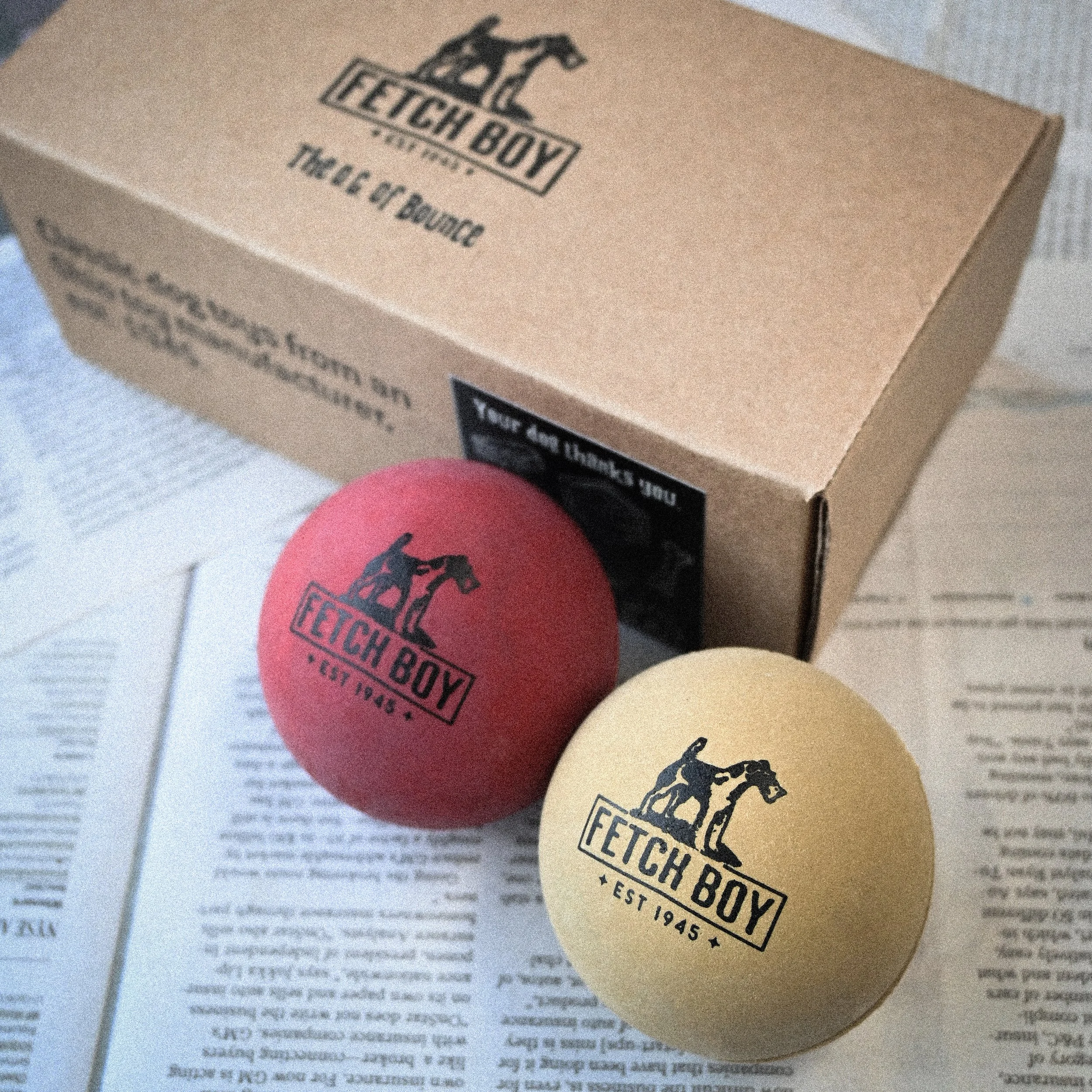 O.G. of Bounce Fetch Boy balls.jpg