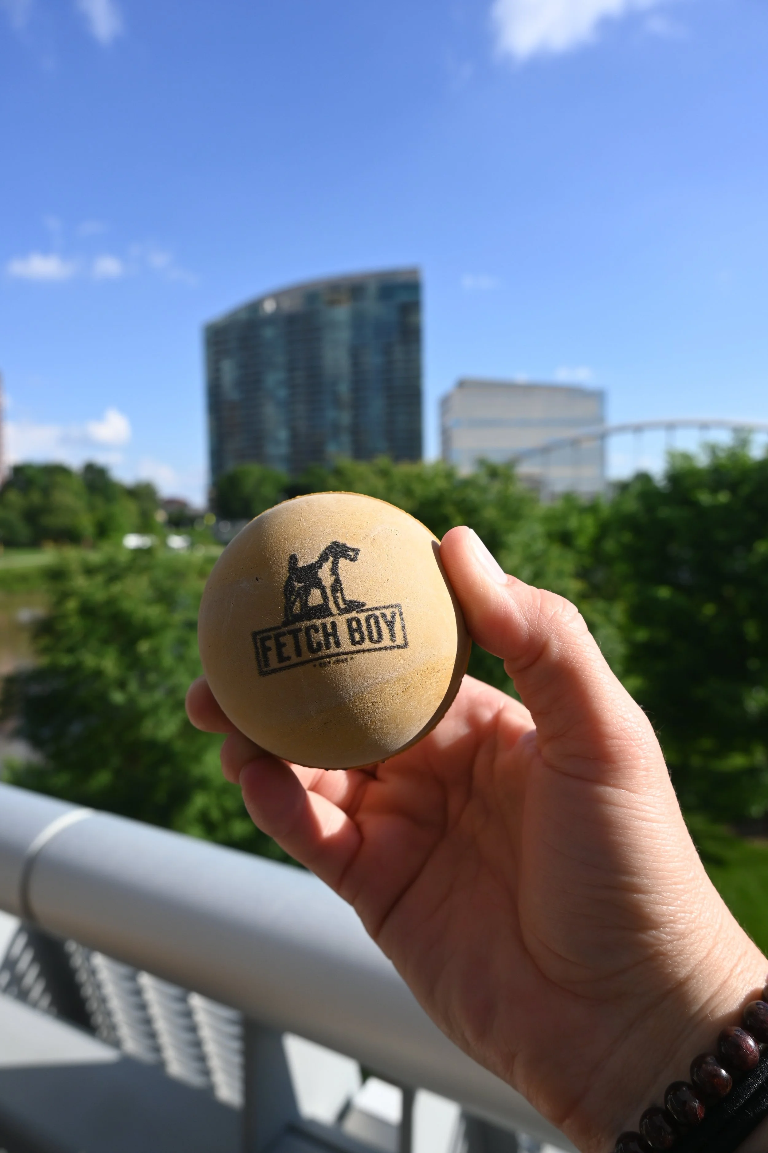 Fetch Boy Columbus Ohio.JPG