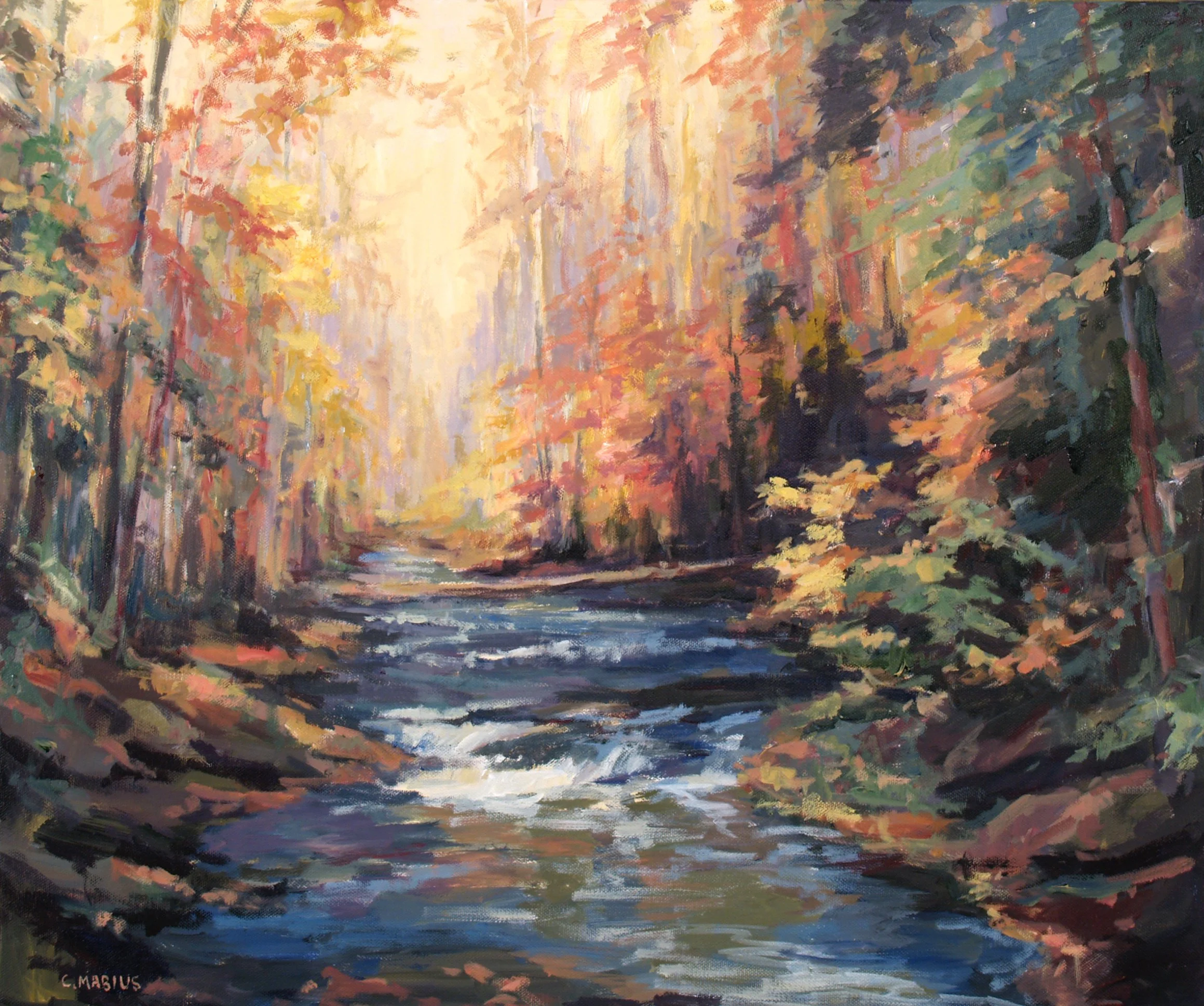 806 Autumn Light.jpg