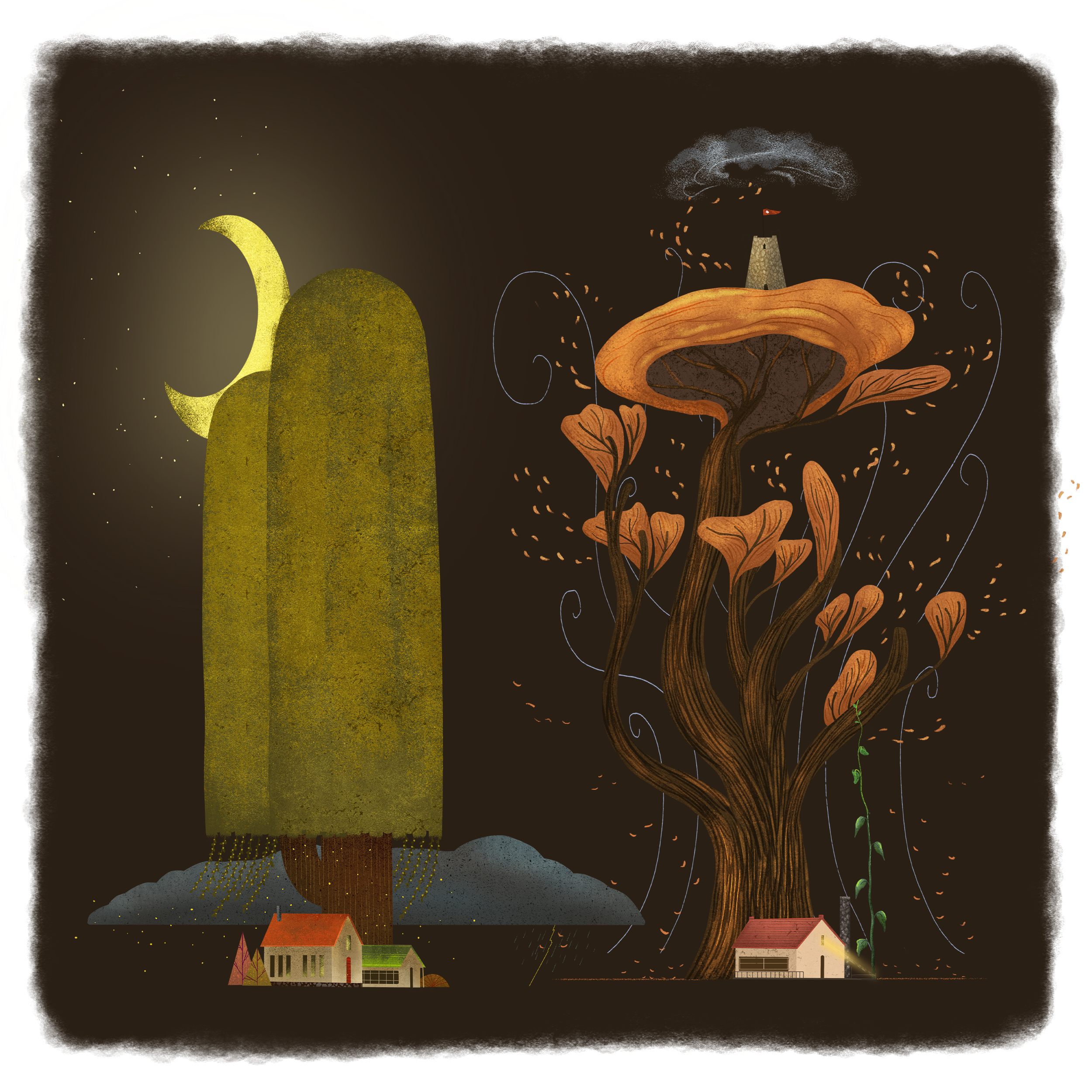 Picture Book Illustrator